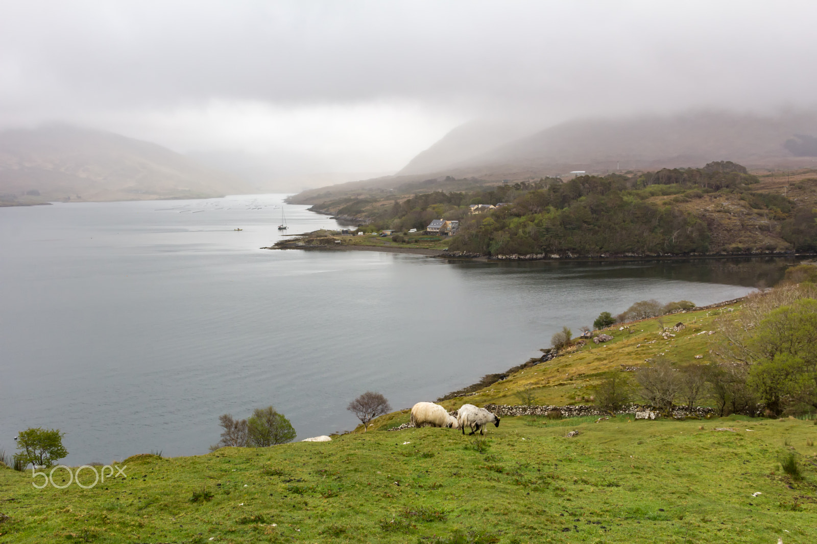 Sigma 18-125mm F3.8-5.6 DC OS HSM sample photo. Killaryfjord photography
