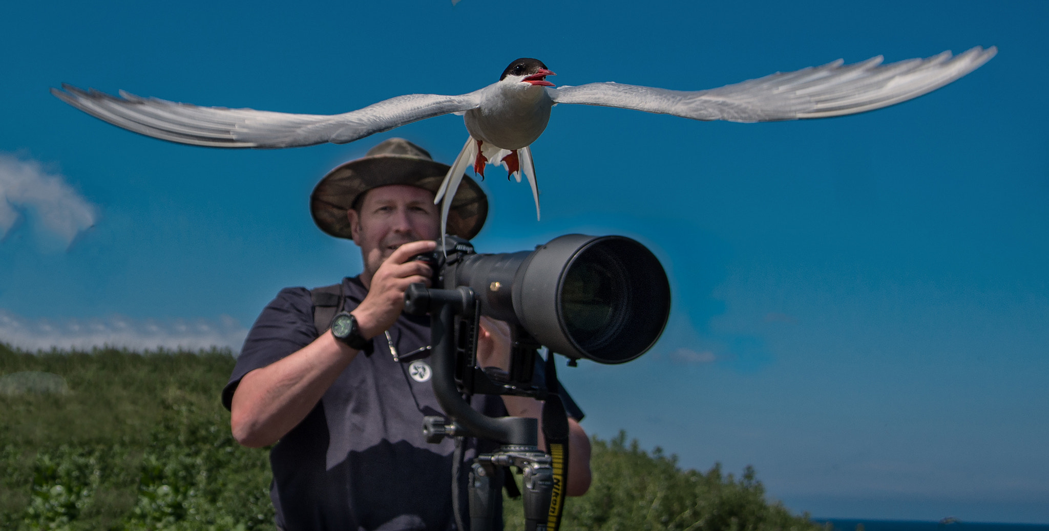 Pentax K-5 II + Pentax smc DA 16-45mm F4 ED AL sample photo. Wildlife photographer photography