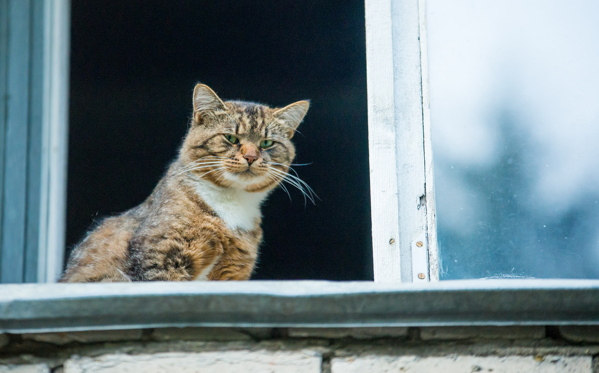 70-200mm F2.8 sample photo. *** photography