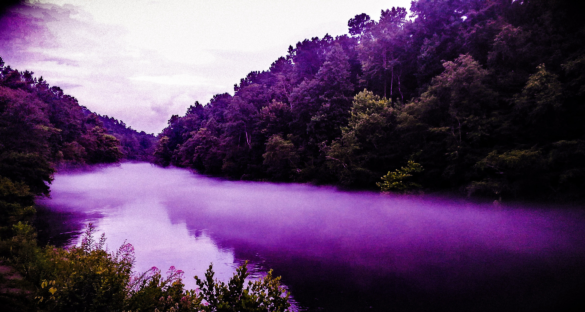 ZTE Z958 sample photo. Foggy river photography