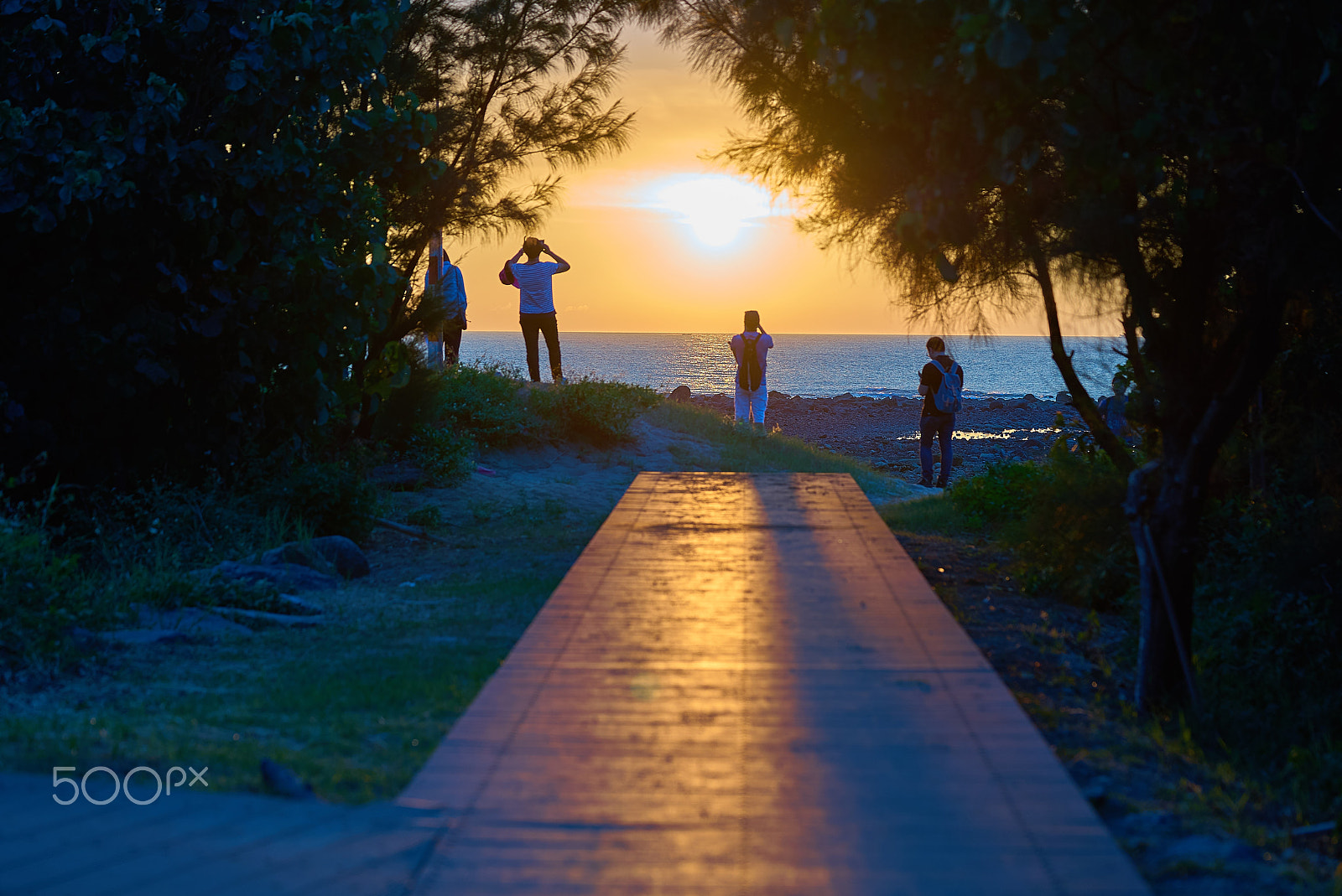 Sony a7S + Sony FE 90mm F2.8 Macro G OSS sample photo. On the way to sunset photography