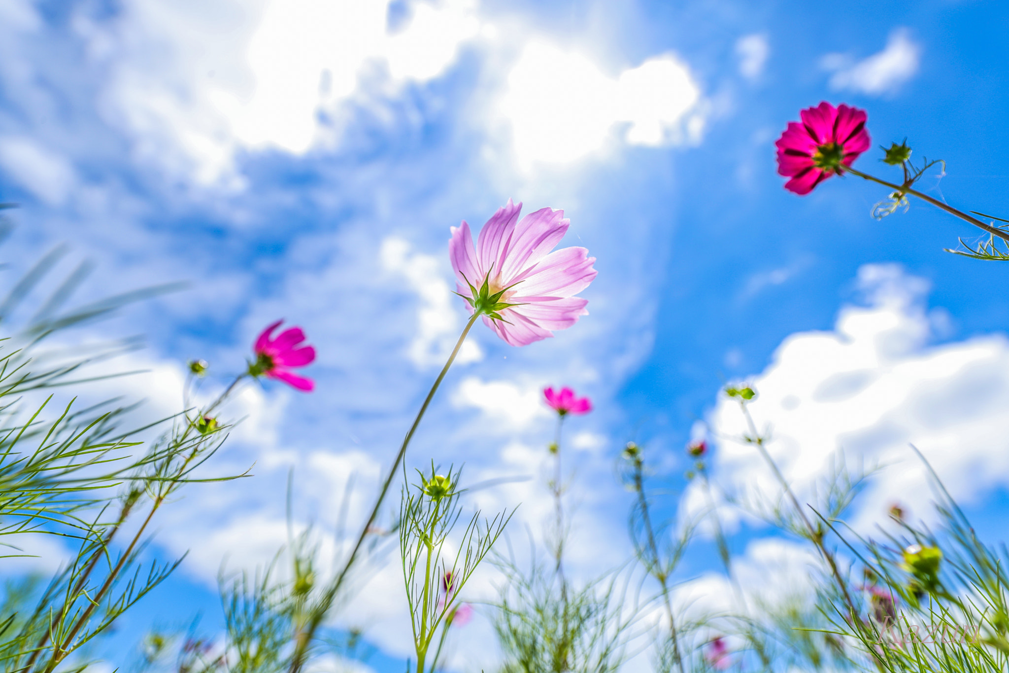 Canon EF 11-24mm F4L USM sample photo. Sunny day! photography
