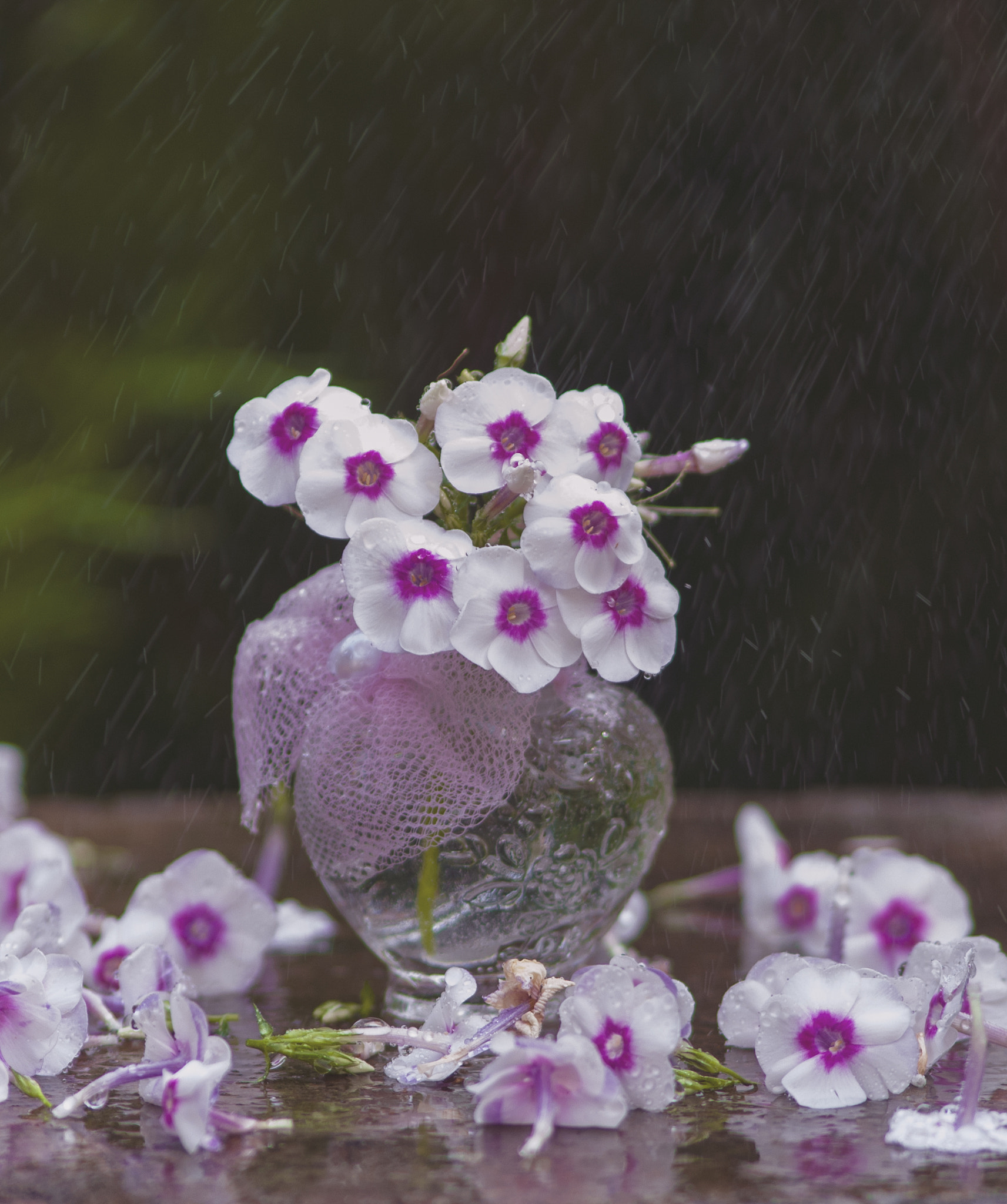Sigma 70-300mm F4-5.6 APO DG Macro sample photo. Flowers :3 photography