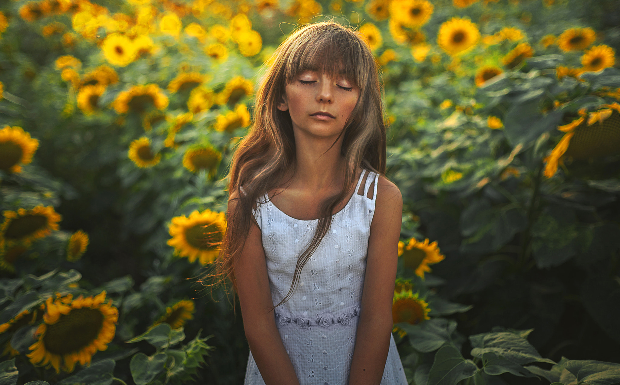 Canon EF 50mm F1.8 II sample photo. Melody of the sun photography