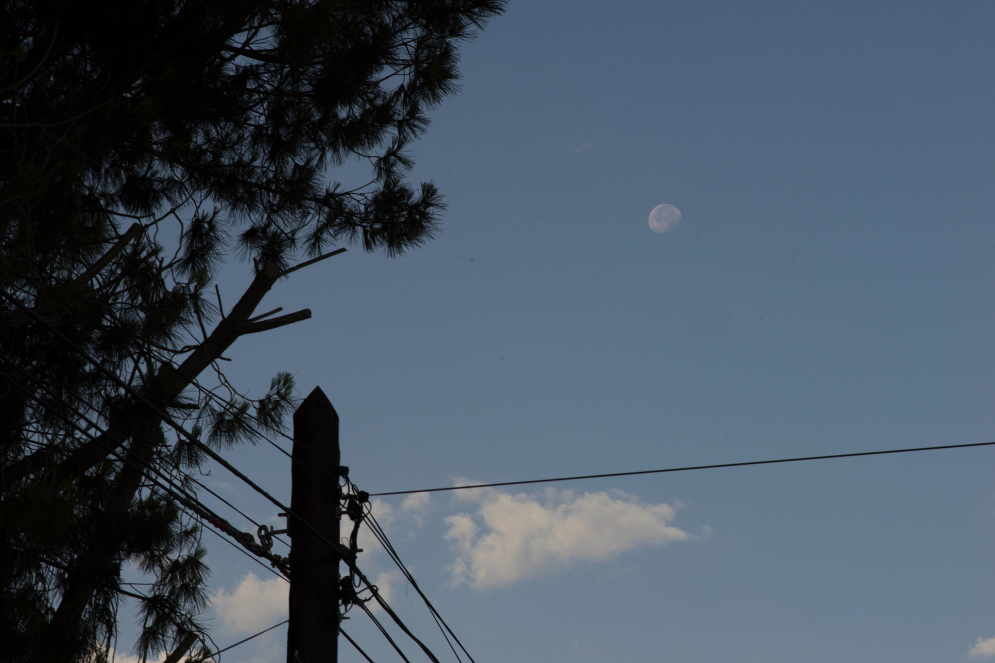Sigma ZOOM-alpha 35-135mm F3.5-4.5 sample photo. Moon, tree and wires photography