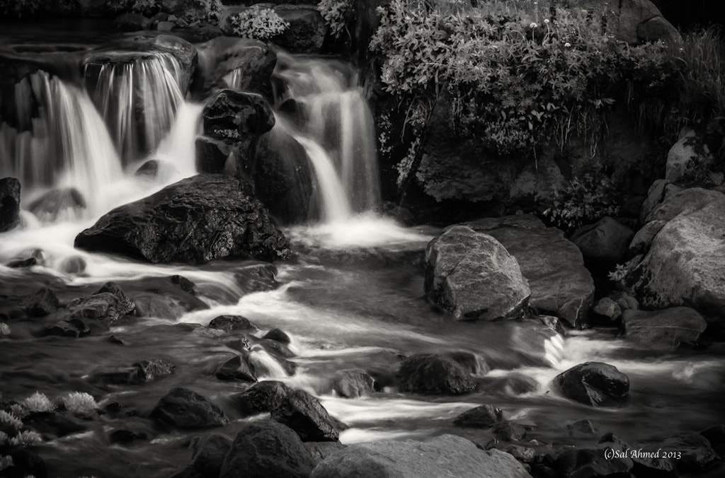 Sony SLT-A77 sample photo. Crystal waterfall  of mount reinier np.wa photography