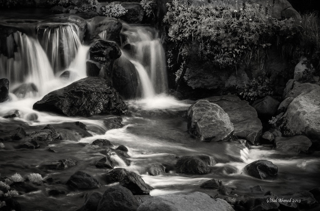 Sony SLT-A77 + Tamron SP AF 90mm F2.8 Di Macro sample photo. Crystal waterfall  of mount reinier np.wa photography