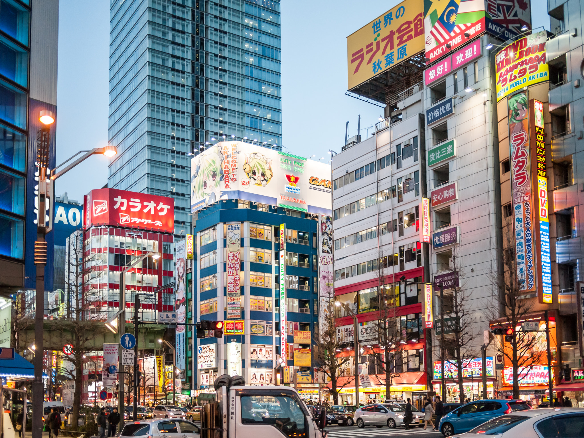 Olympus PEN E-P1 + Panasonic Lumix G 20mm F1.7 ASPH sample photo. Walking in akihabara photography