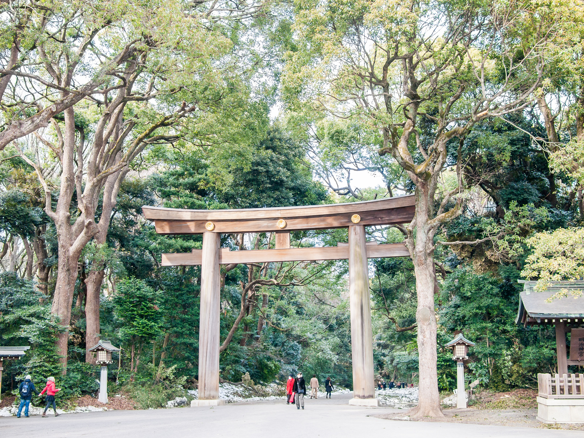 Olympus PEN E-P1 + Panasonic Lumix G 20mm F1.7 ASPH sample photo. Meiji jingu shrine door photography