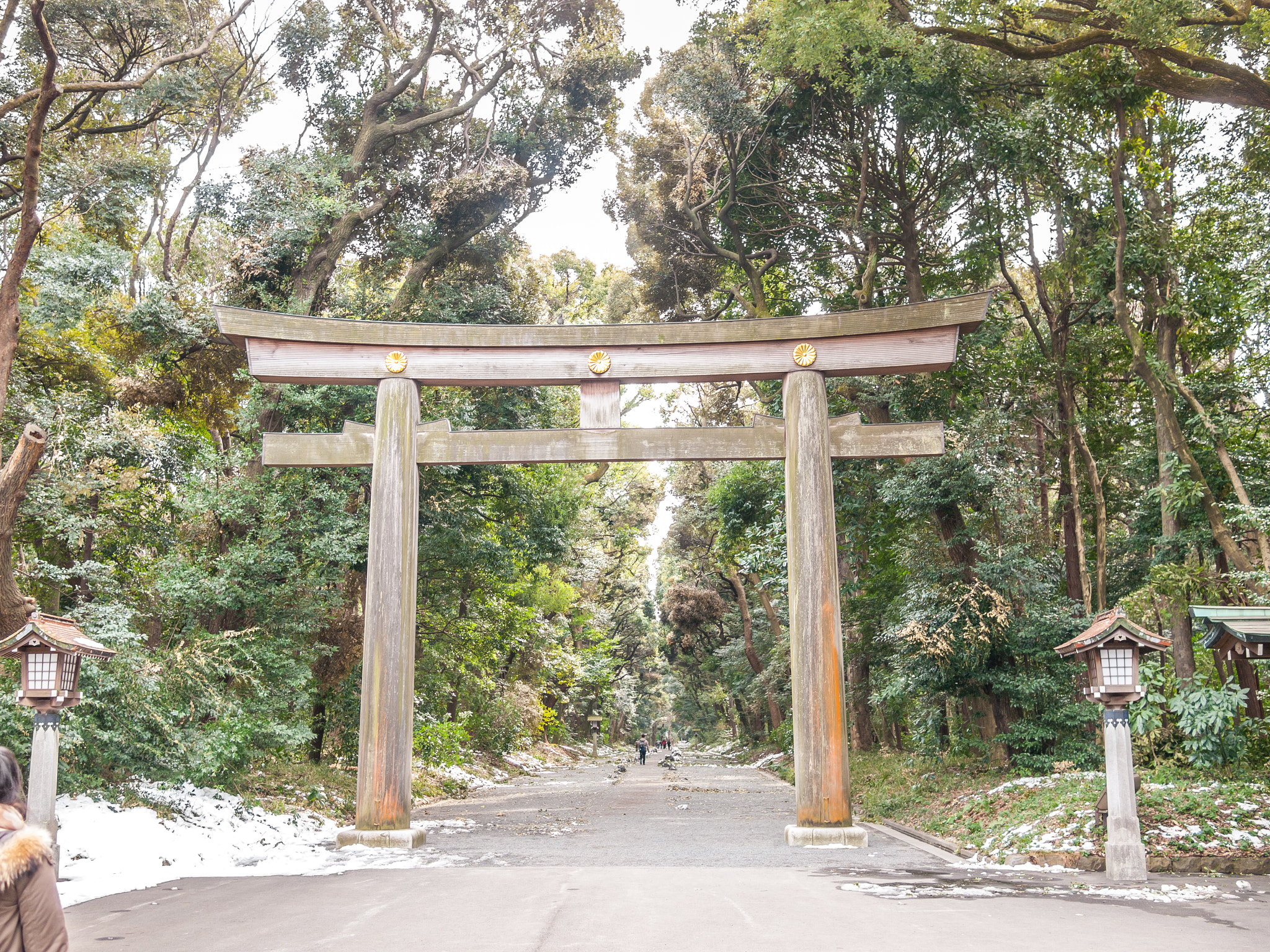 Olympus PEN E-P1 + Panasonic Lumix G 20mm F1.7 ASPH sample photo. Meiji jingu shrine door photography