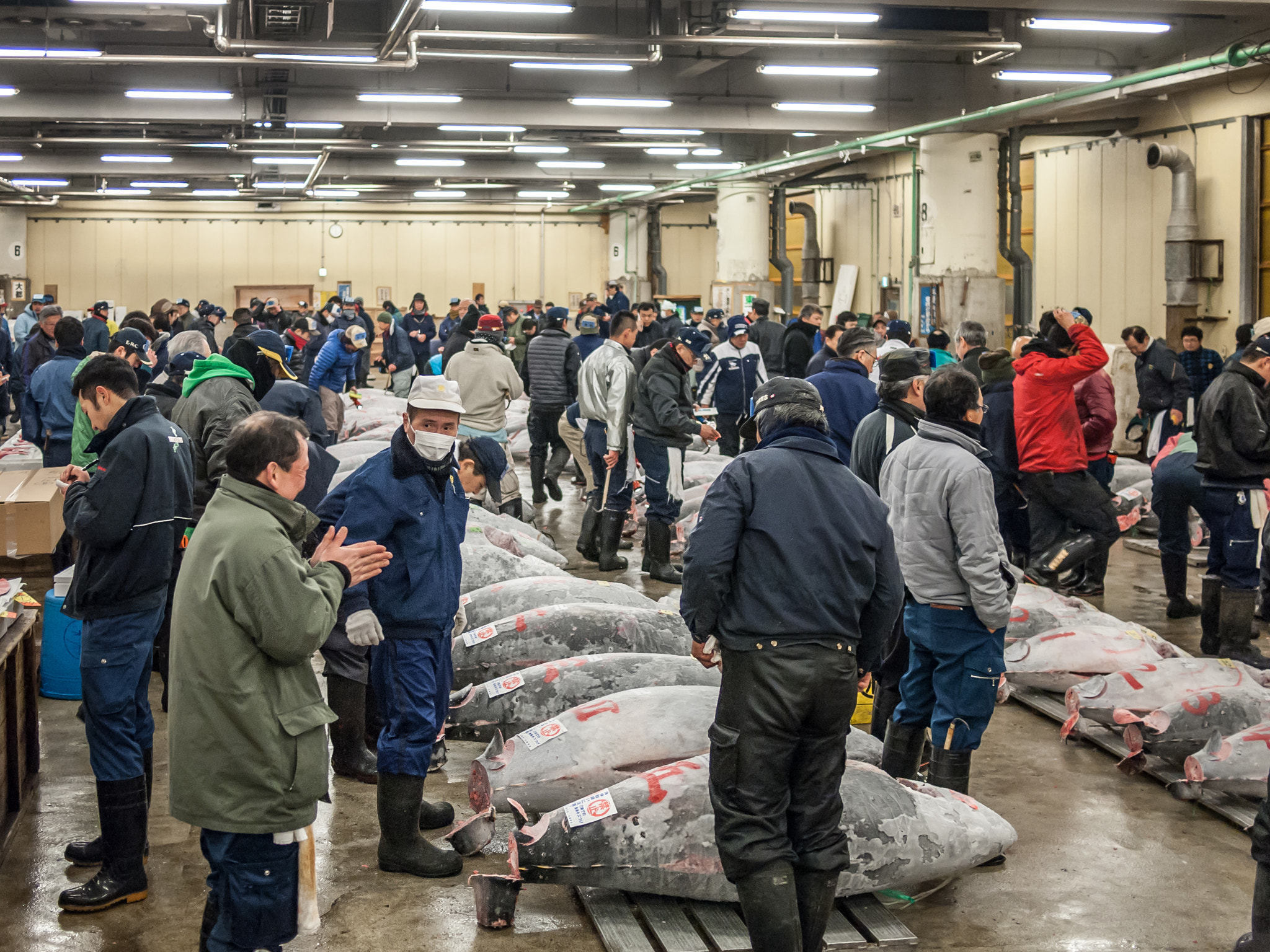 Olympus PEN E-P1 + Panasonic Lumix G 20mm F1.7 ASPH sample photo. The tuna auction photography