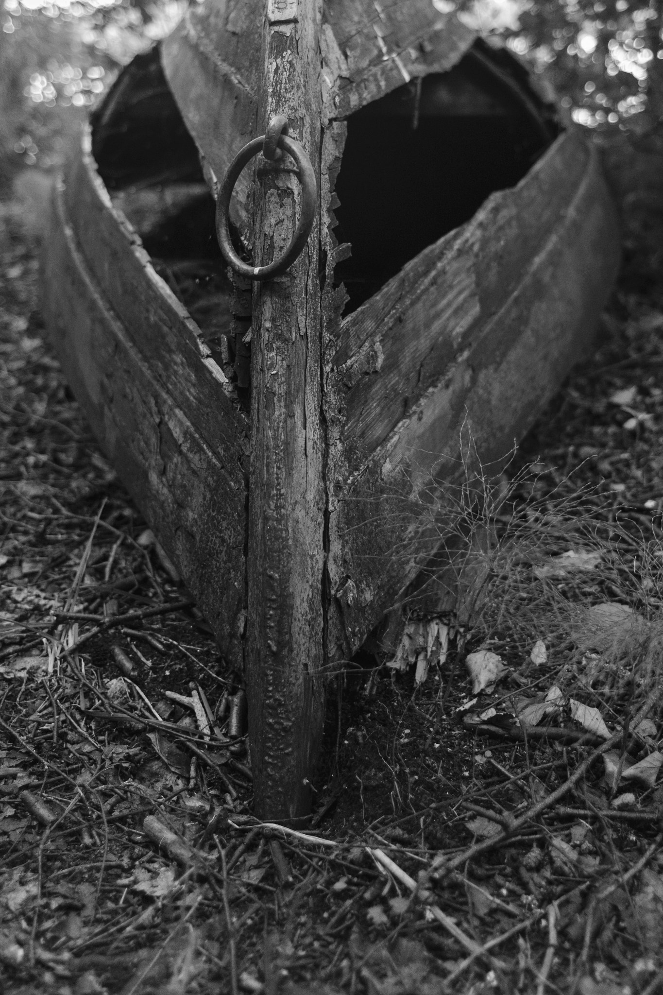 Nikon D610 + Nikon AF Nikkor 24mm F2.8D sample photo. Old boat photography