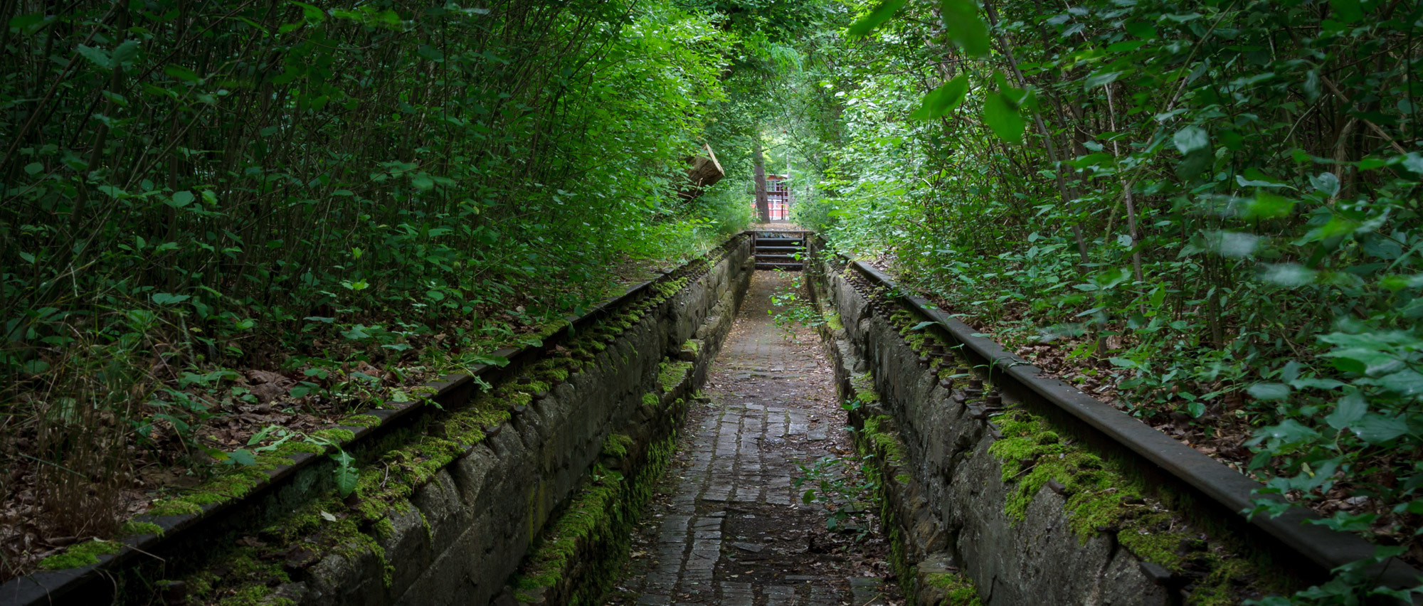 Sigma 24-105mm f/4 DG OS HSM | A sample photo. Alte gleise photography