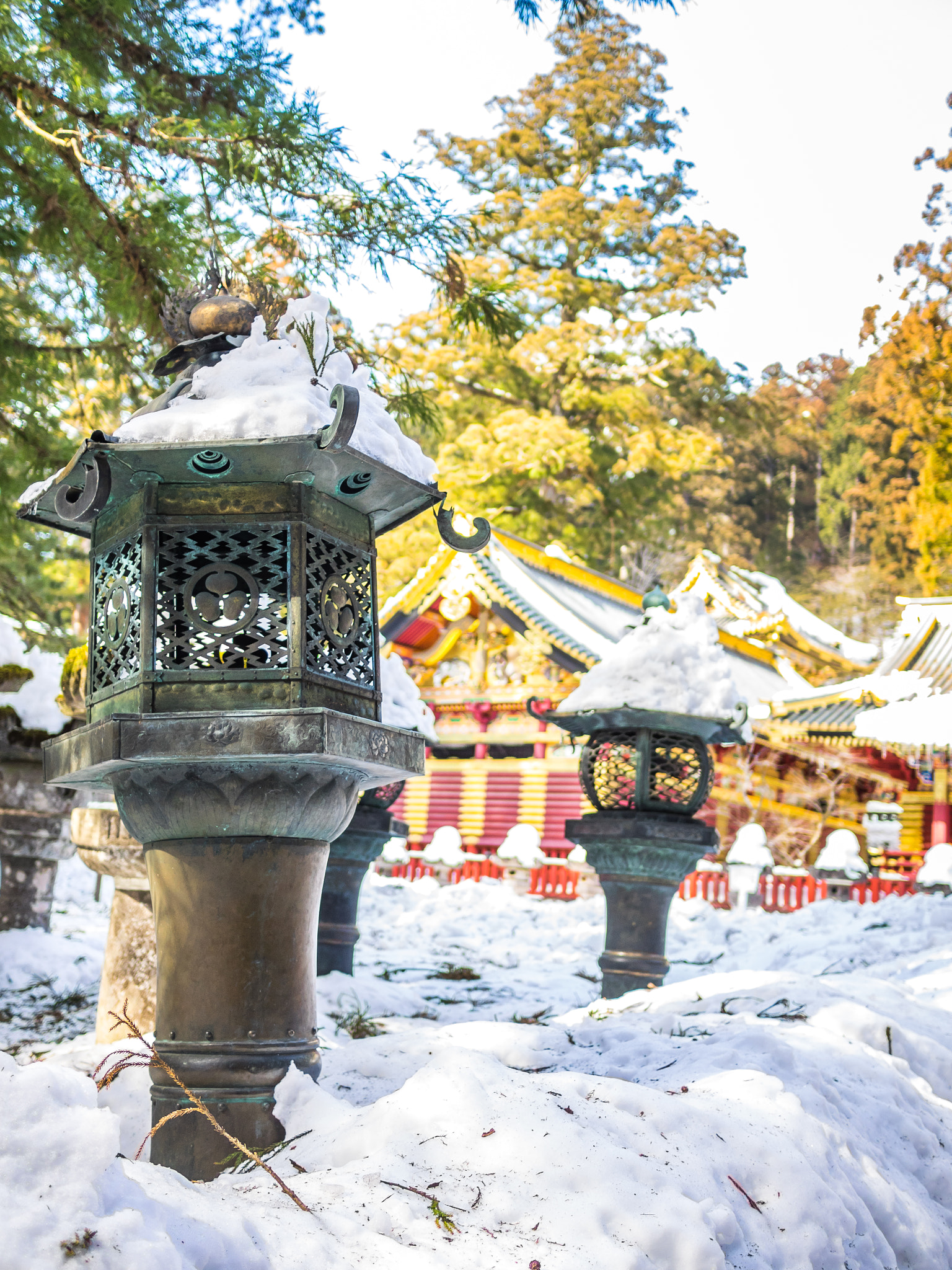 Olympus OM-D E-M1 + Panasonic Lumix G 20mm F1.7 ASPH sample photo. Metal lanterns in nikko, japan photography