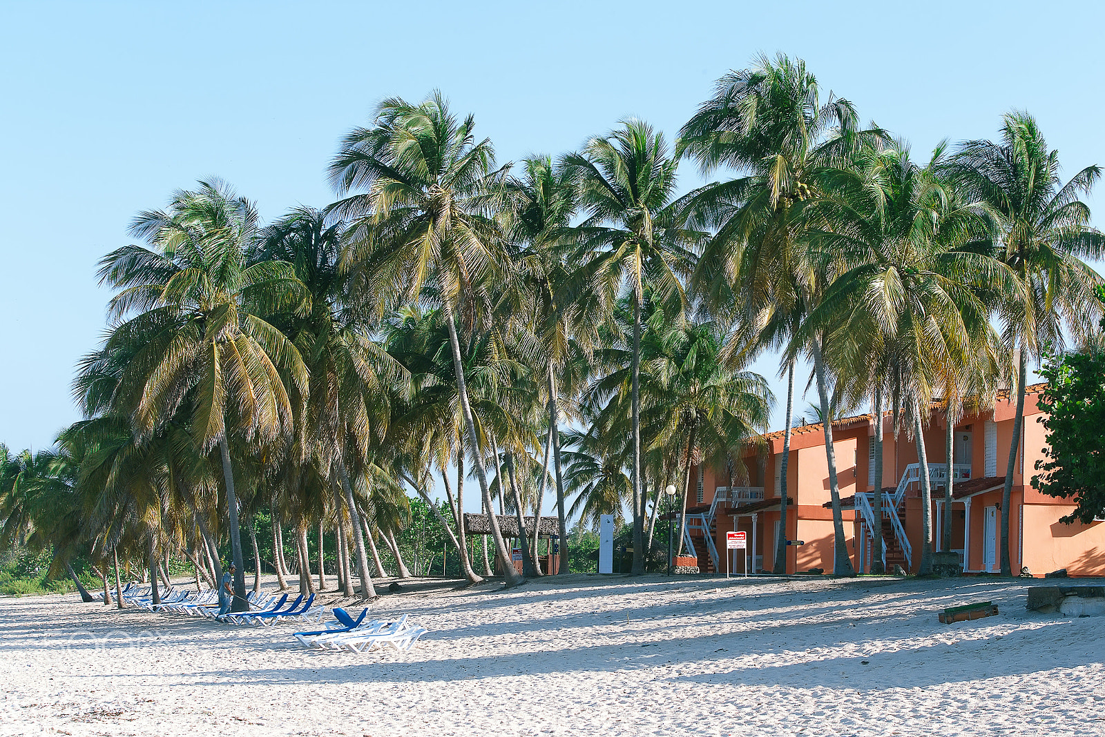 Canon EOS-1D X sample photo. Paradise beach in the caribbean photography