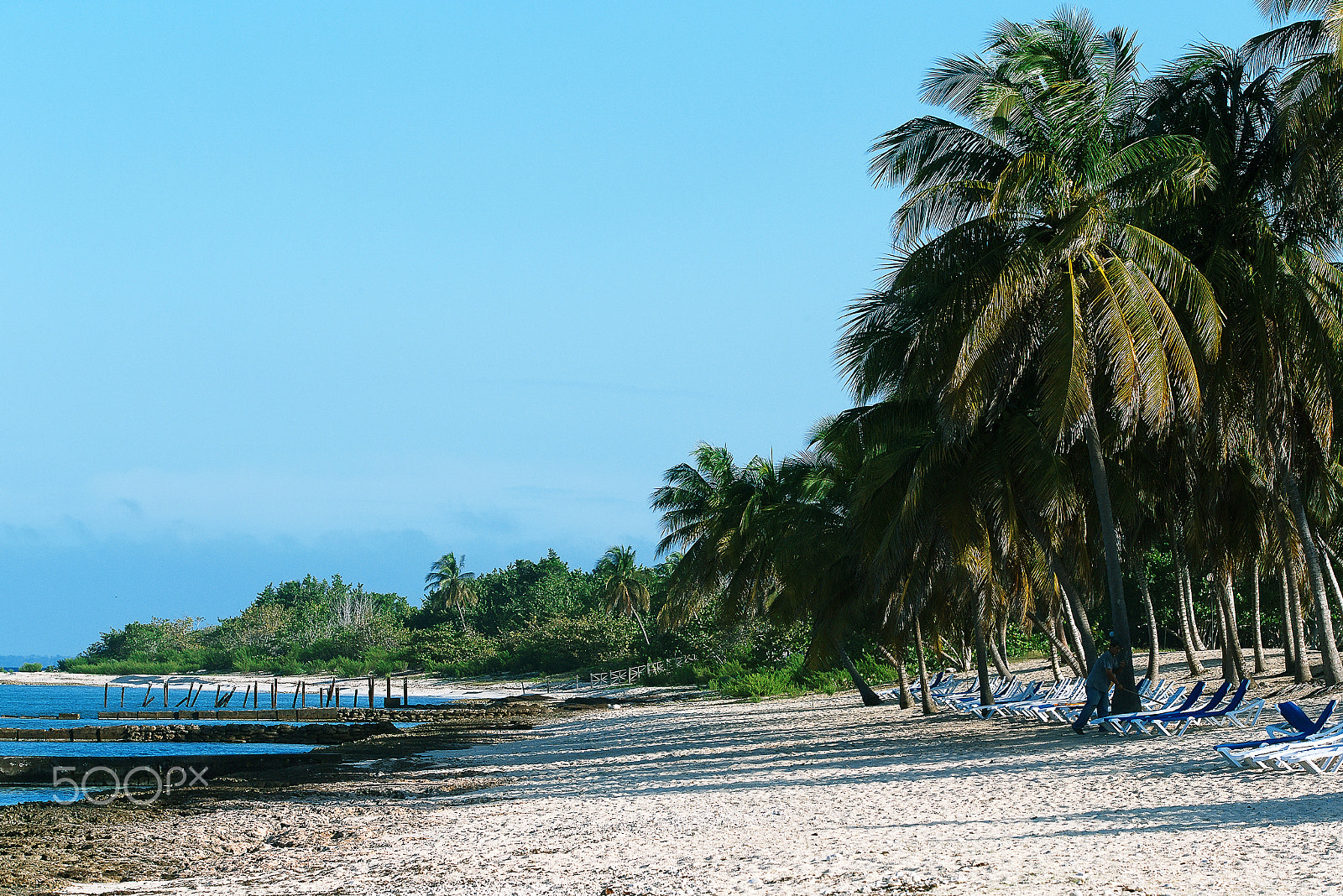 Canon EOS-1D X sample photo. Paradise beach in the caribbean photography