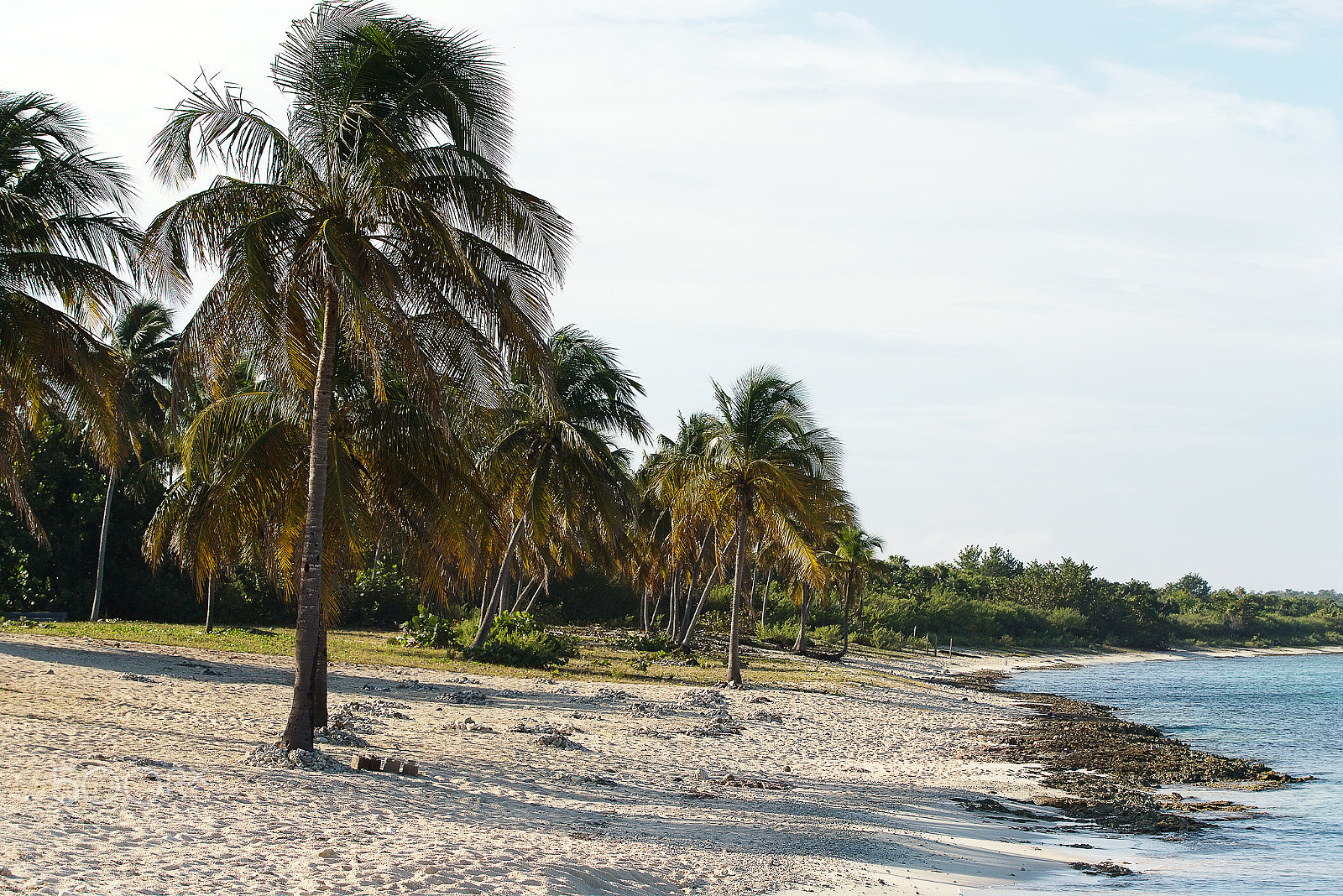 Canon EOS-1D X sample photo. Paradise beach in the caribbean photography