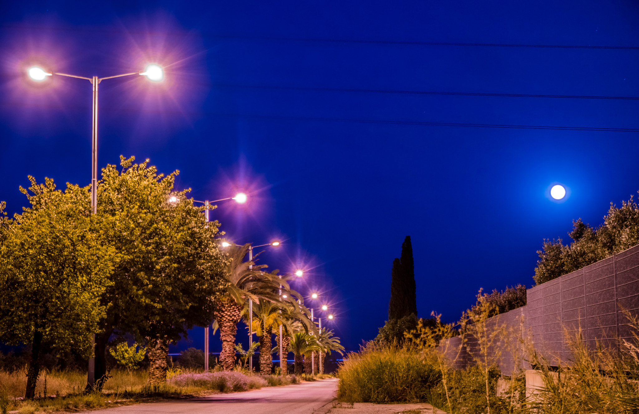 Samsung NX1 sample photo. Full moon on palm street photography