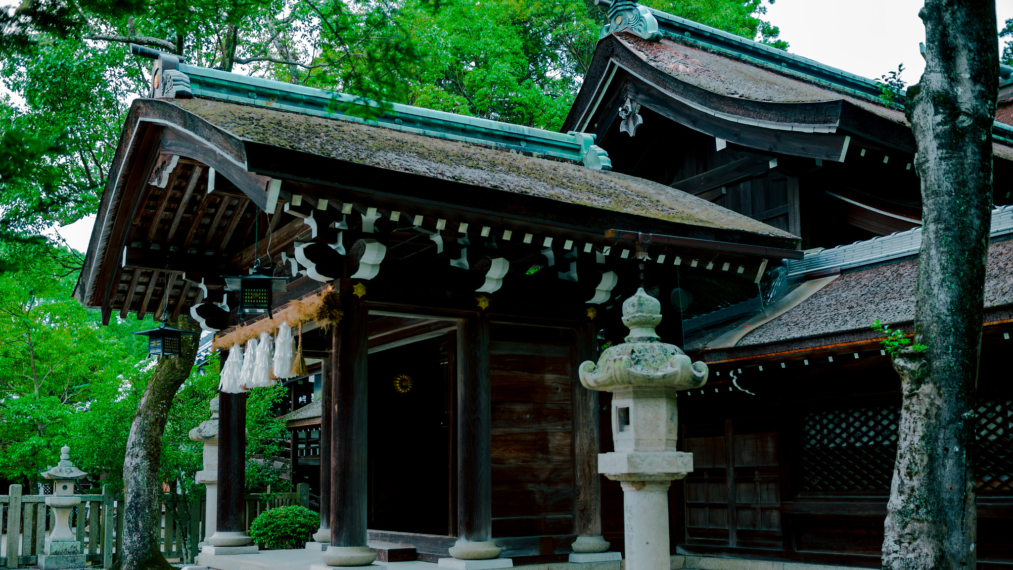 Sony a7S sample photo. Izanagi shrine photography