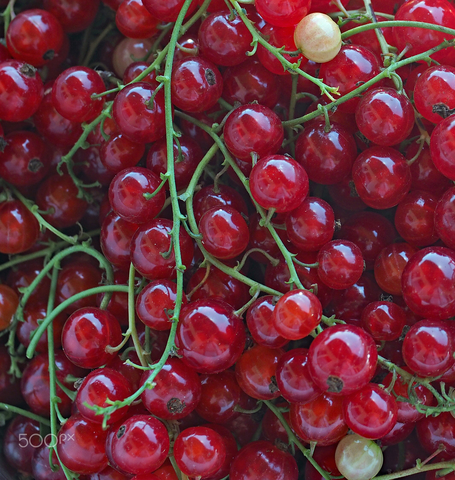 Panasonic Leica DG Macro-Elmarit 45mm F2.8 ASPH OIS sample photo. Mostly ripe photography