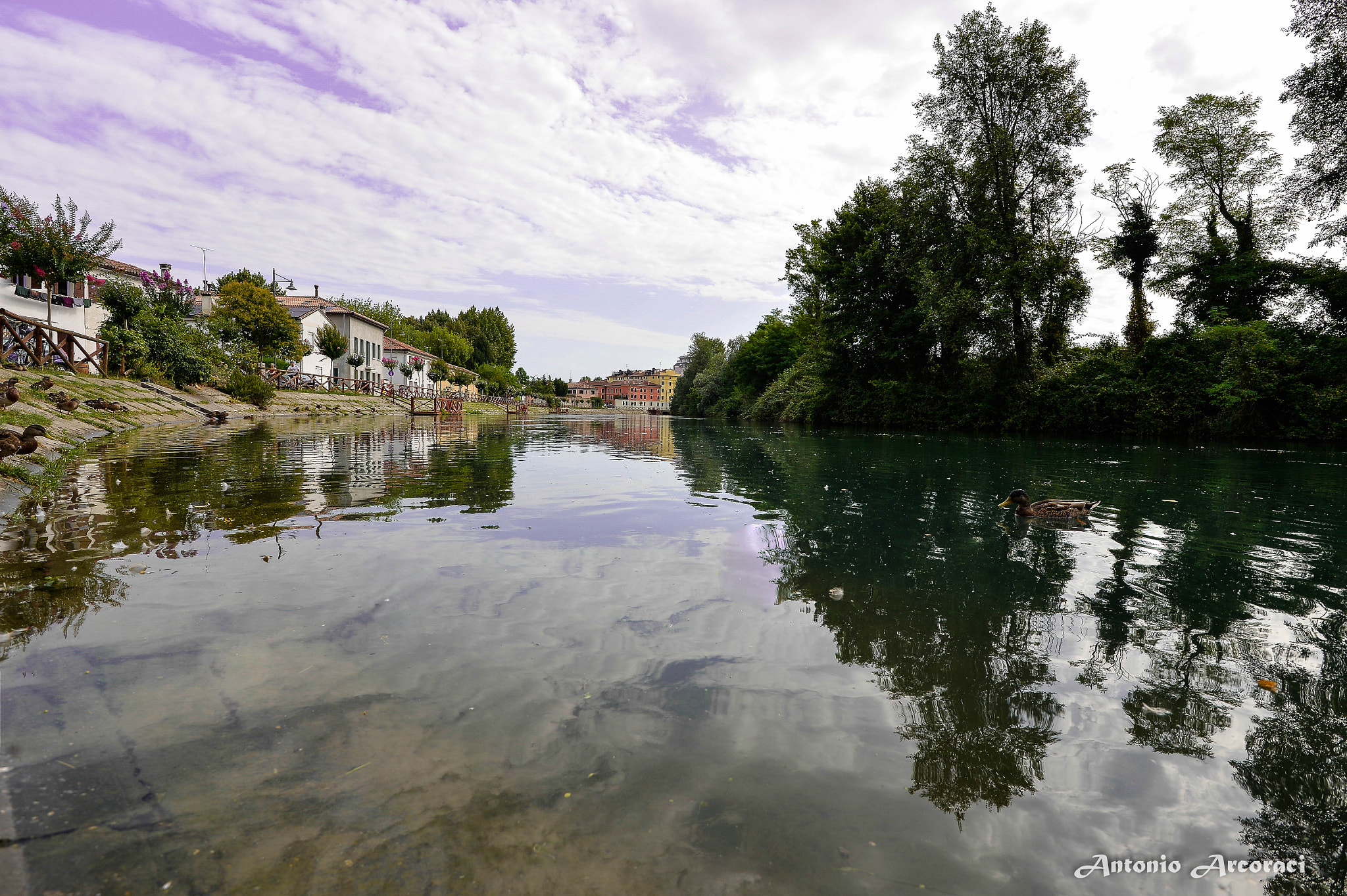 Nikon D4 sample photo. Sile river photography
