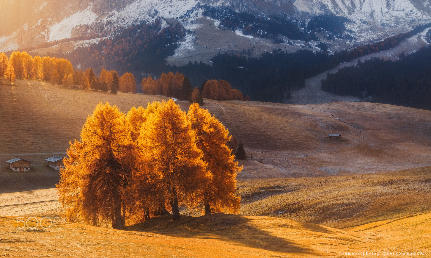 Tamron 18-270mm F3.5-6.3 Di II PZD sample photo. Italy. dolomites. morning light on alpe di siusi p photography