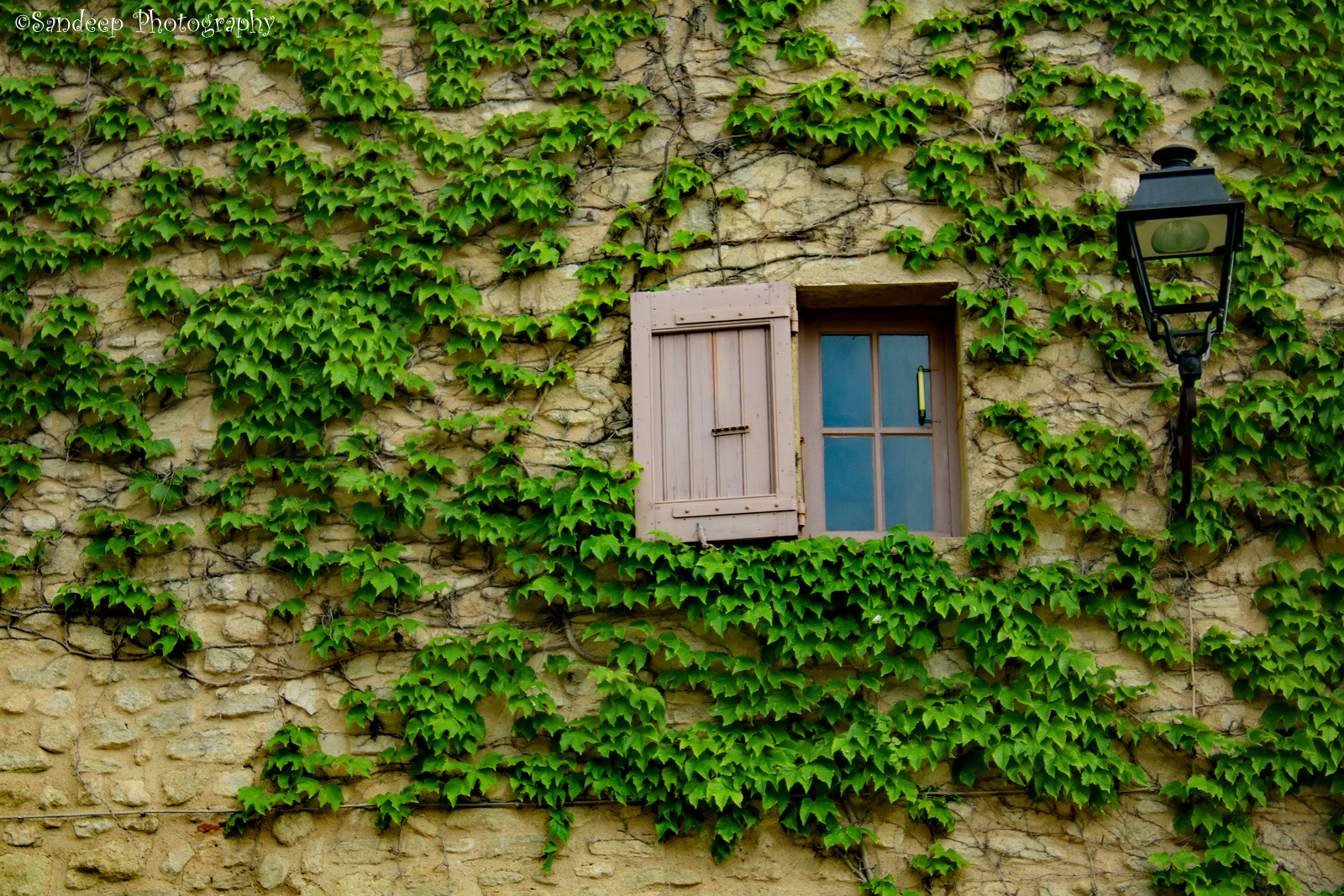 Canon EOS 750D (EOS Rebel T6i / EOS Kiss X8i) sample photo. Window photography