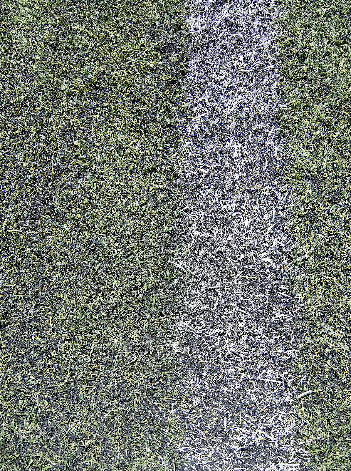AF Zoom-Nikkor 35-70mm f/2.8D N sample photo. Soccer football field photography