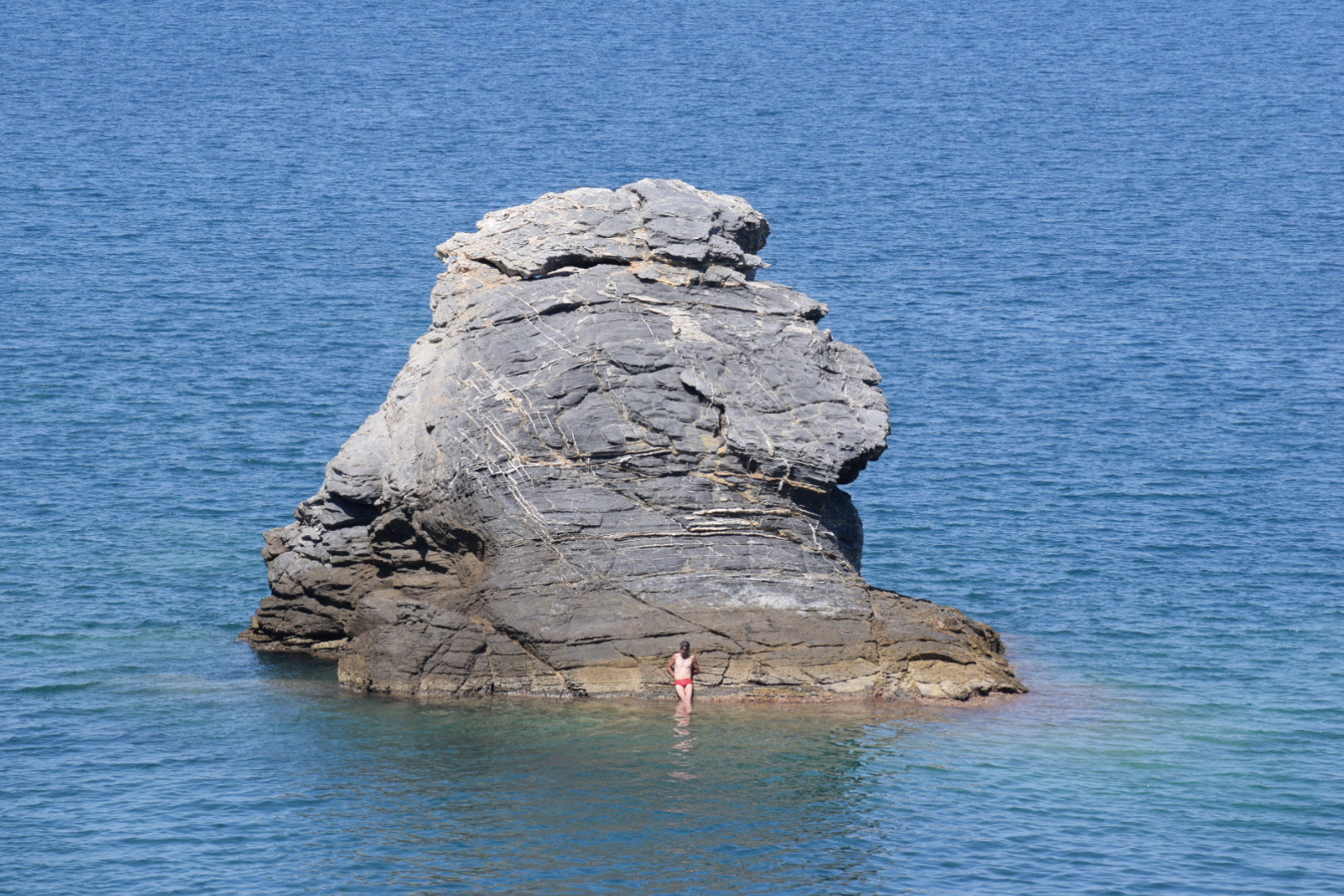 Nikon AF Nikkor 70-300mm F4-5.6G sample photo. To dive or not to dive? photography