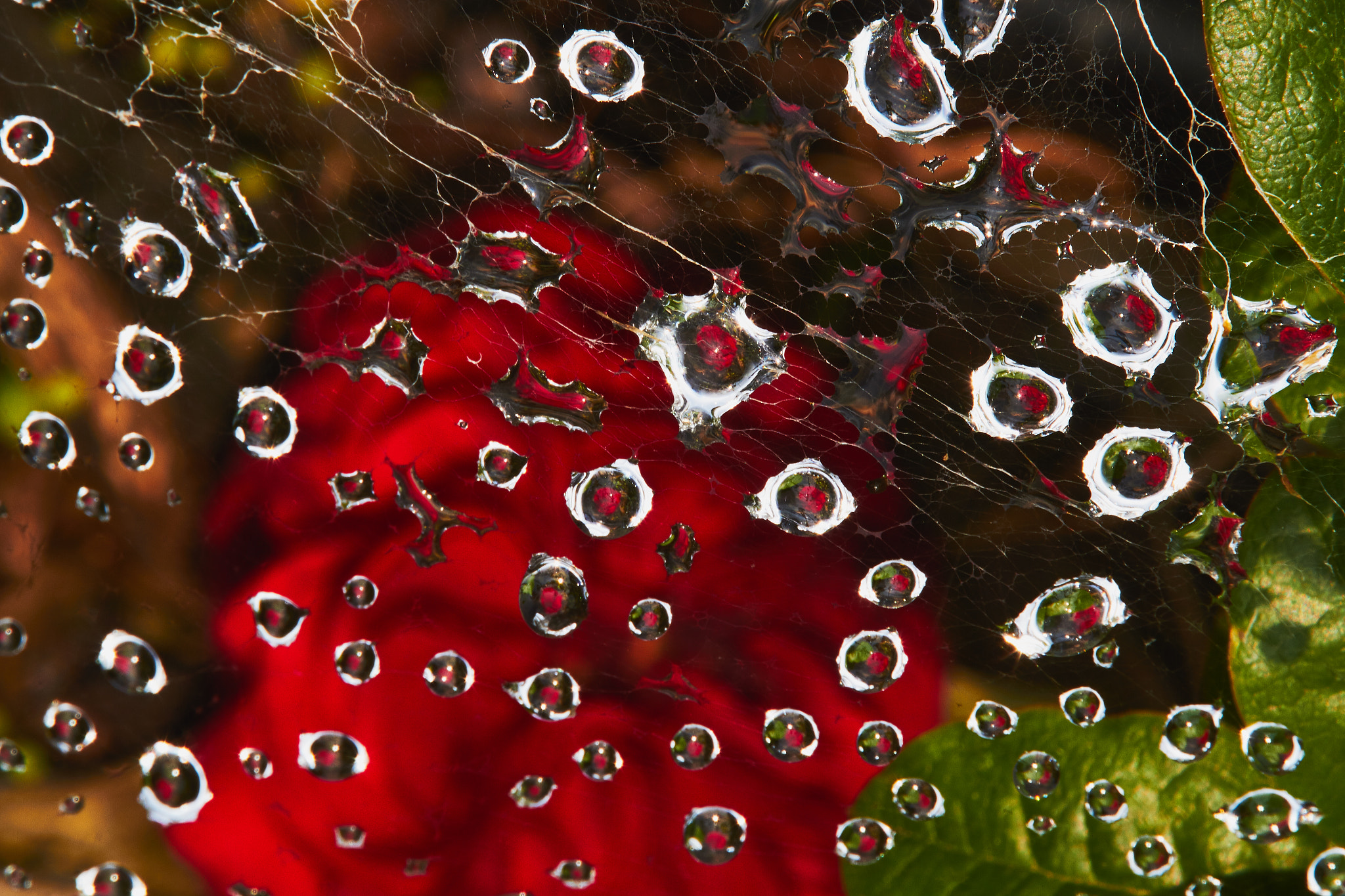 Canon EF 70-200mm F2.8L IS II USM sample photo. Crystals in the sun photography