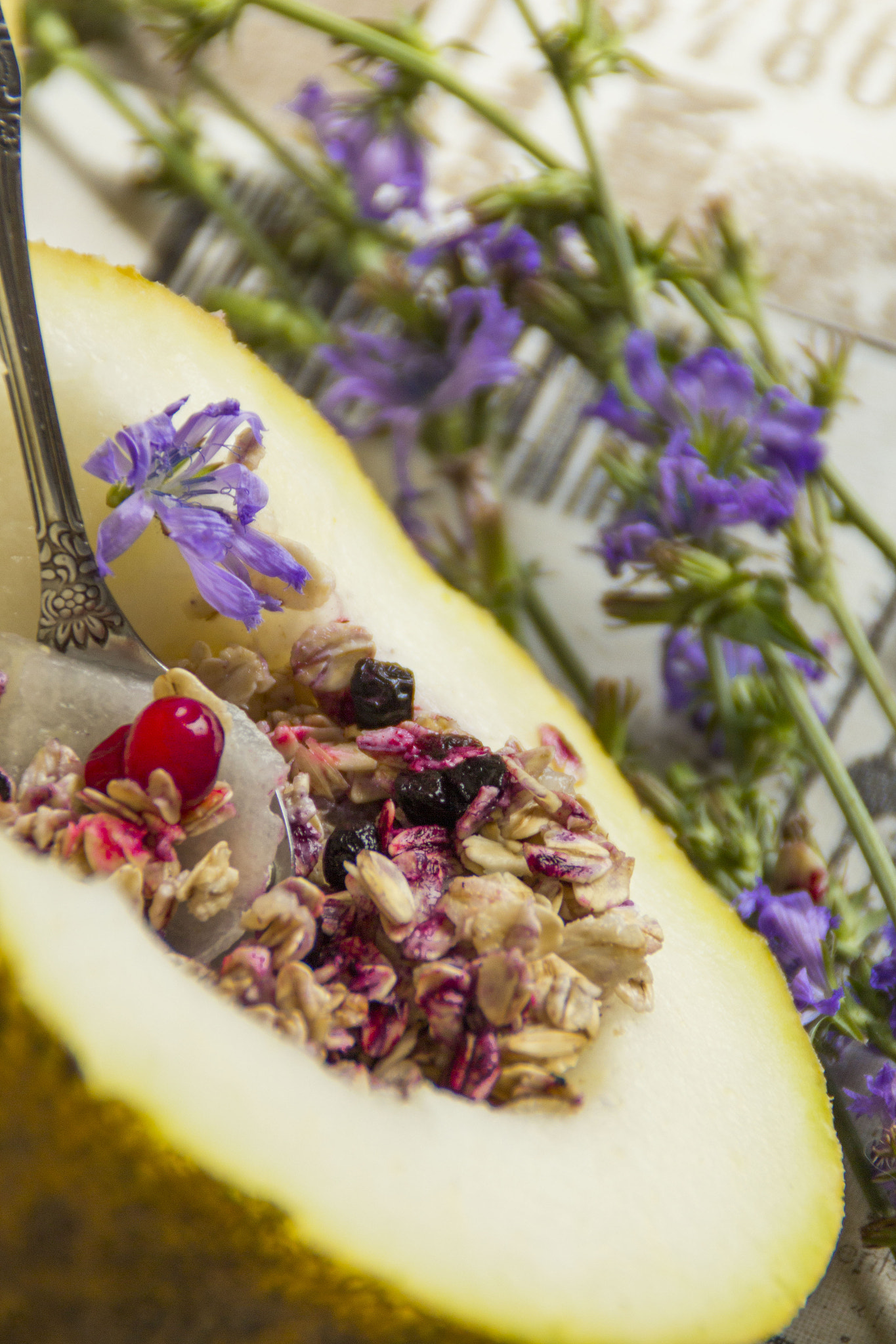 Canon EOS 650D (EOS Rebel T4i / EOS Kiss X6i) sample photo. Oatmeal in the melon photography
