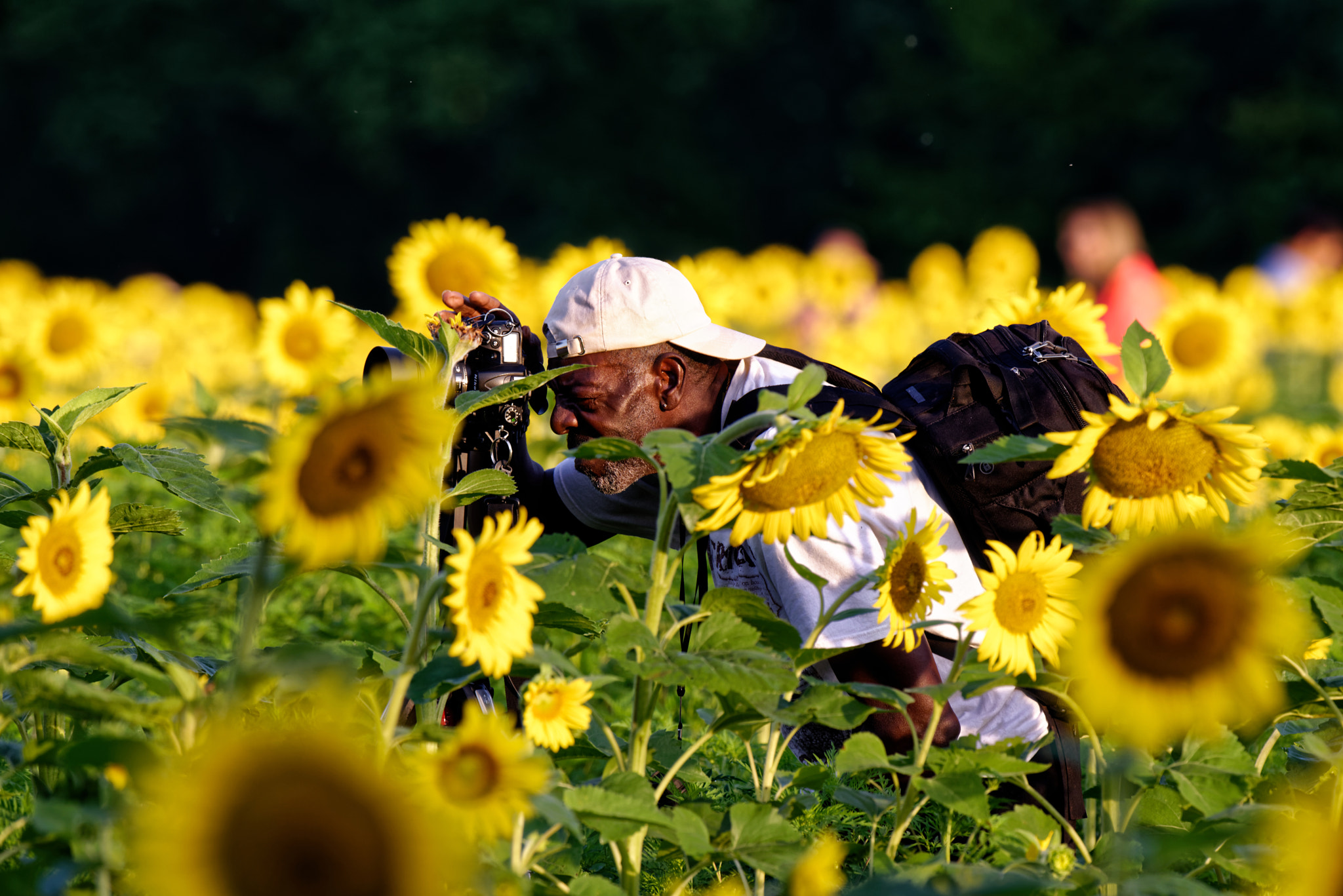 Nikon D800 + Nikon AF-S Nikkor 500mm F4G ED VR sample photo. We love to take photos photography