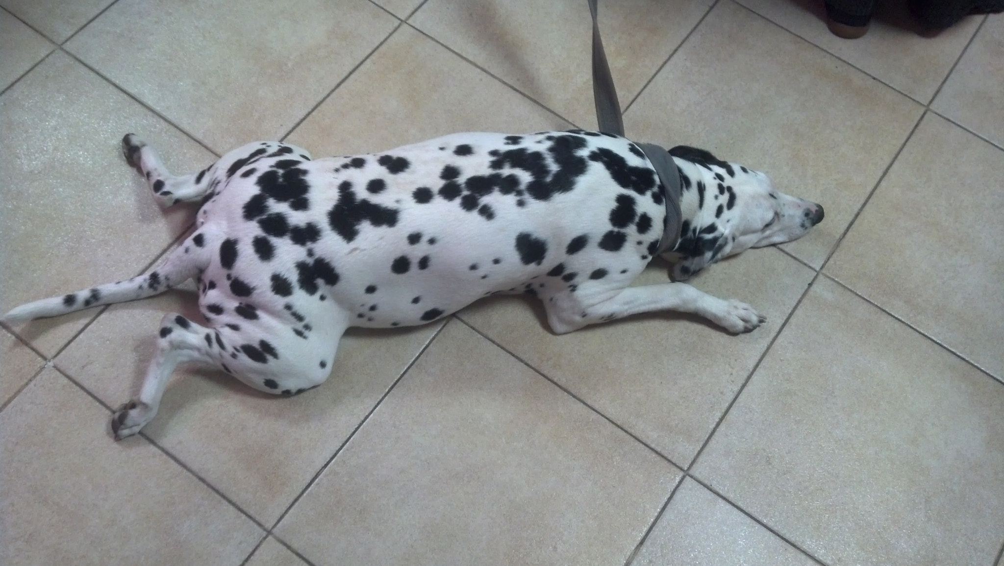 Motorola DROID RAZR sample photo