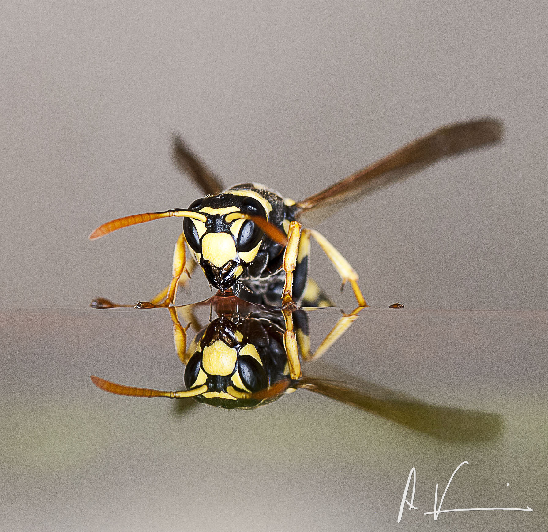 Nikon D80 sample photo. 36 degrees celsius photography