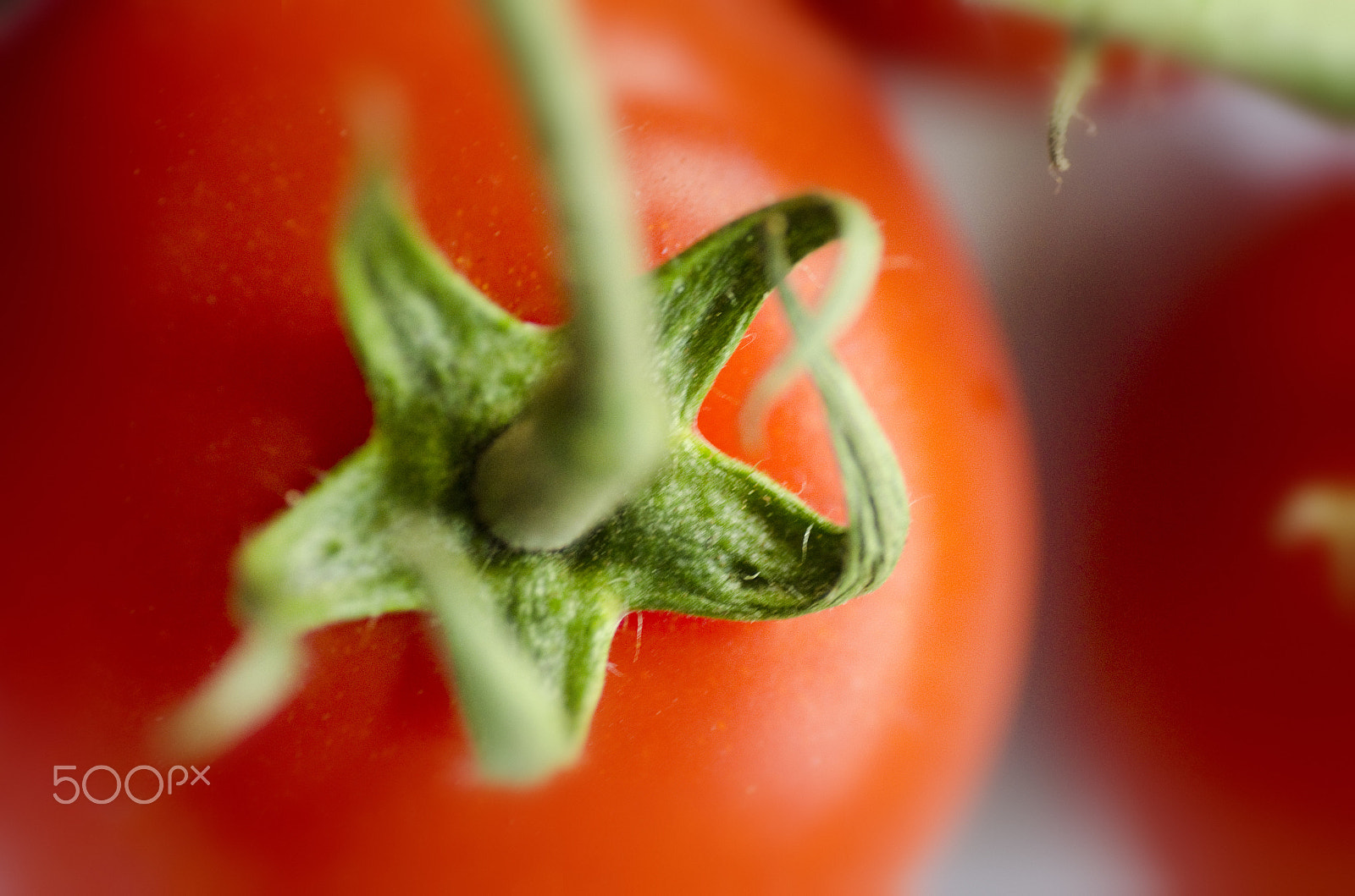 Nikon D7000 + Tamron SP 90mm F2.8 Di VC USD 1:1 Macro sample photo. Vine tomato photography