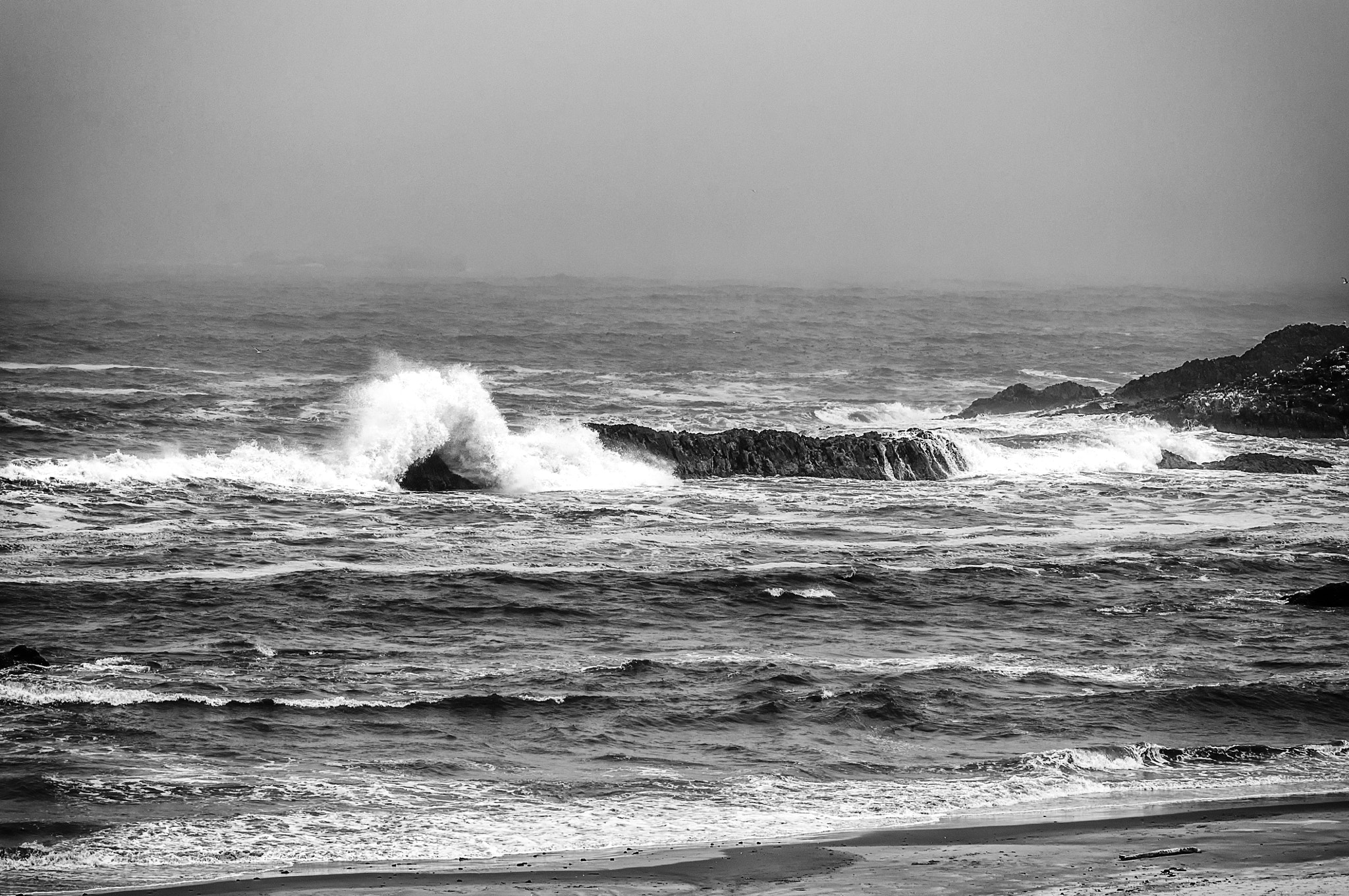 Nikon D90 + Tokina AT-X Pro 100mm F2.8 Macro sample photo. Surf on the rocks with fog photography