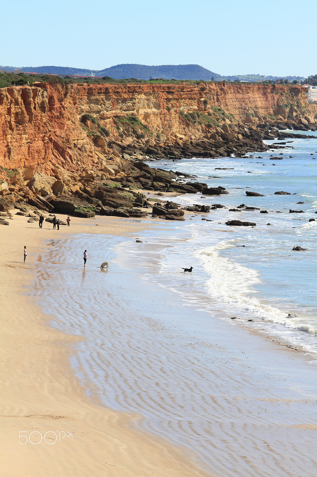 Canon EOS 7D + Sigma 105mm F2.8 EX DG Macro sample photo. Cala del aceite, conil photography