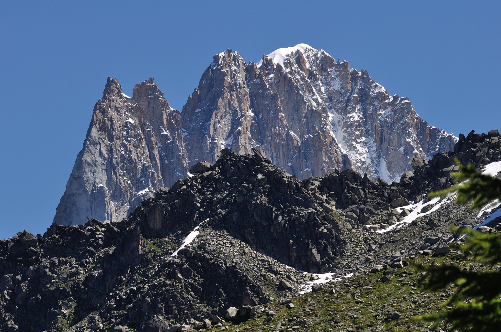 Sigma 150-500mm F5-6.3 DG OS HSM sample photo. Le dru photography