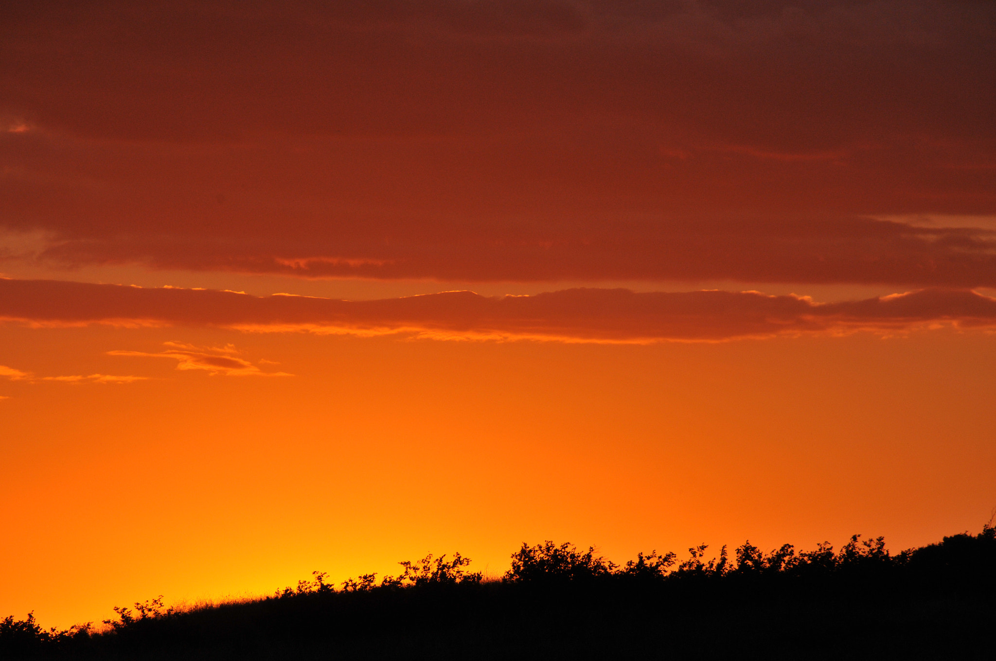 Nikon D300S sample photo. Montsant summer sunset photography