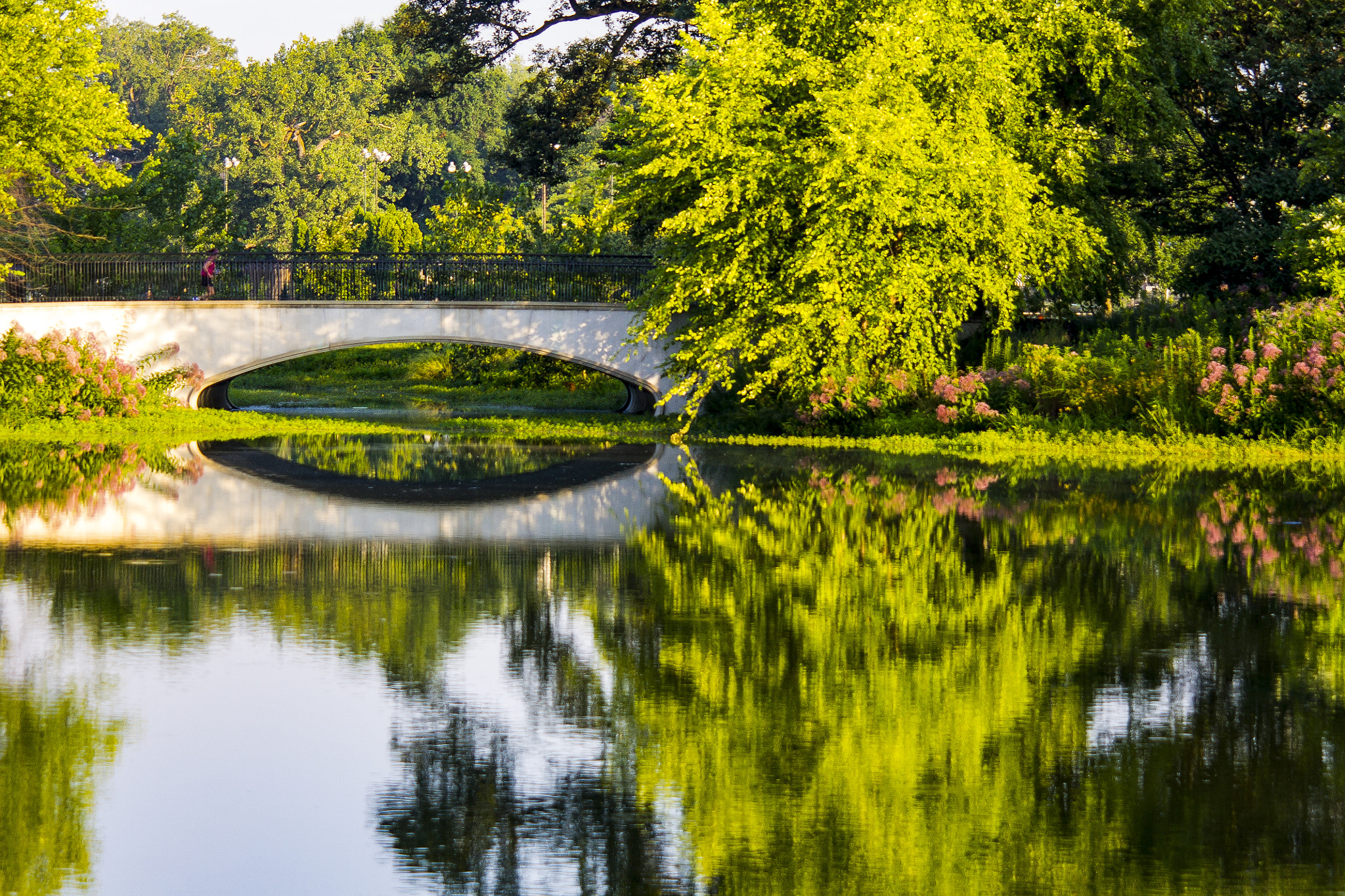 Sigma 50-200mm F4-5.6 DC OS HSM sample photo. Jogger on a bridge photography