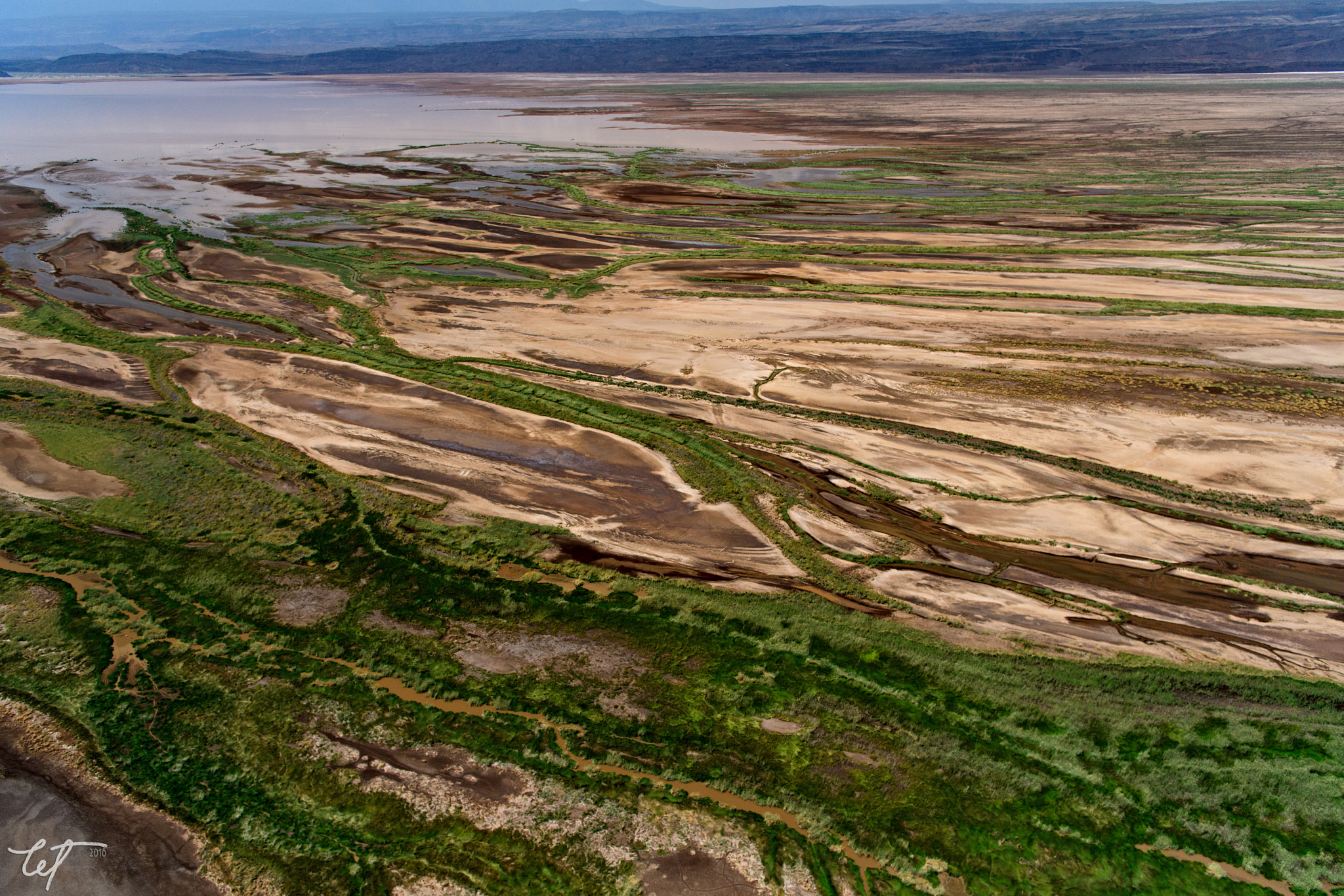 Nikon AF-S Nikkor 24-70mm F2.8E ED VR sample photo. Water veins photography