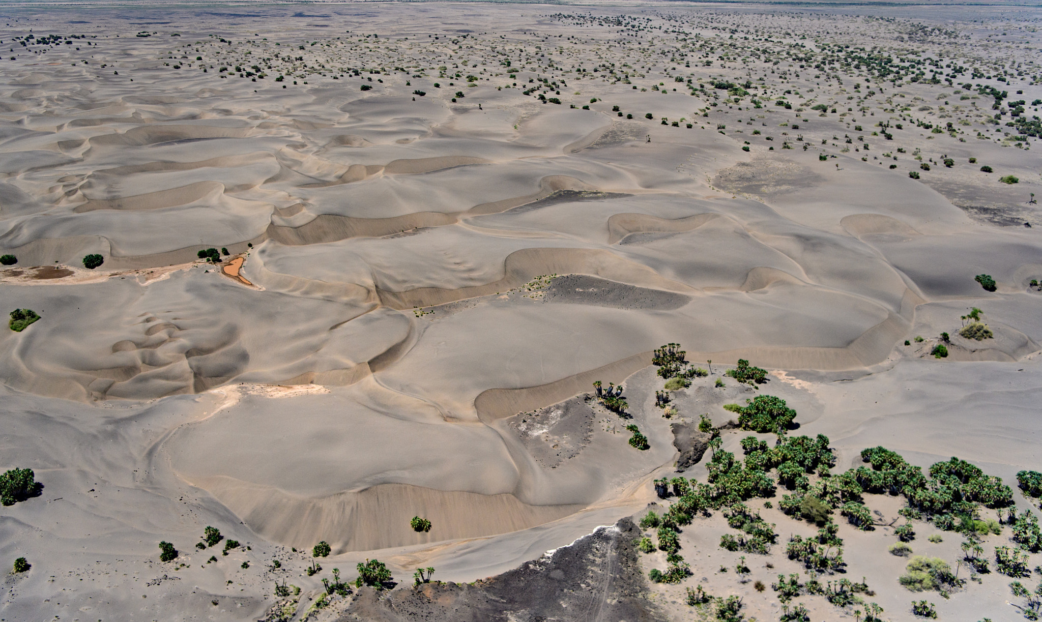 Nikon D5 + Nikon AF-S Nikkor 24-70mm F2.8E ED VR sample photo. Turkana sand dunes photography