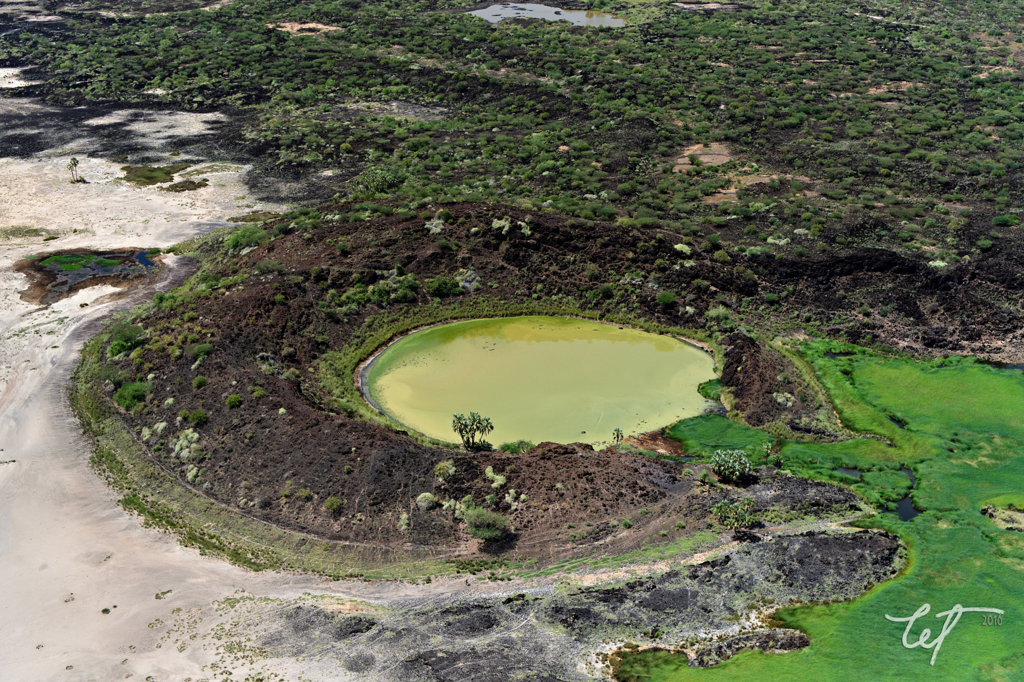 Nikon AF-S Nikkor 24-70mm F2.8E ED VR sample photo. Algae lake photography