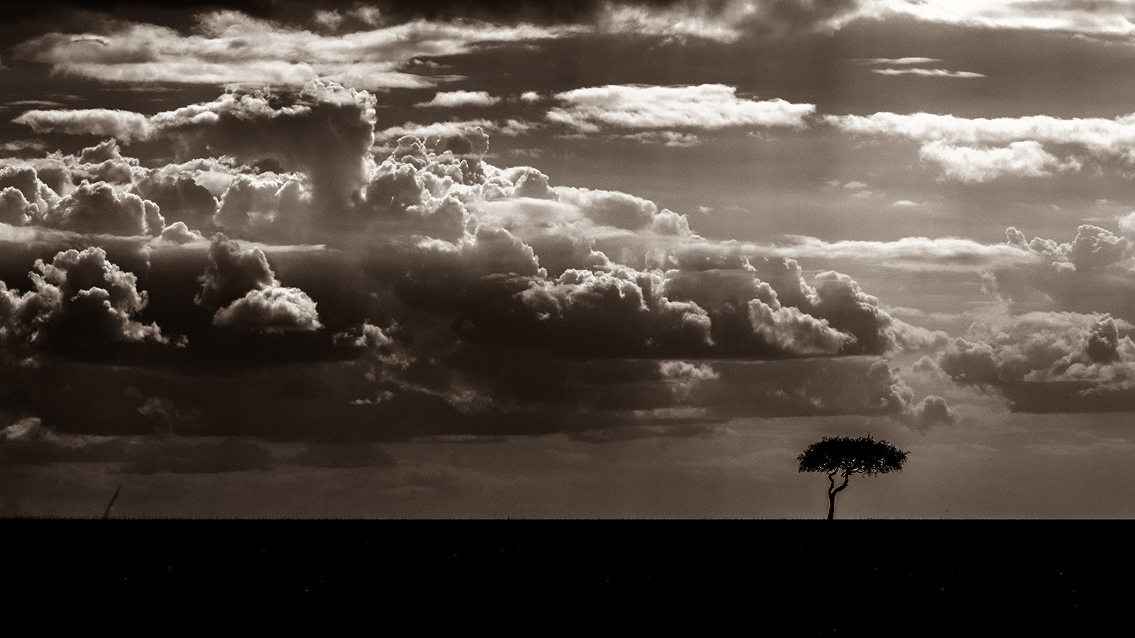 Nikon D7100 + Nikon AF-S Nikkor 80-400mm F4.5-5.6G ED VR sample photo. A lone mara tree photography