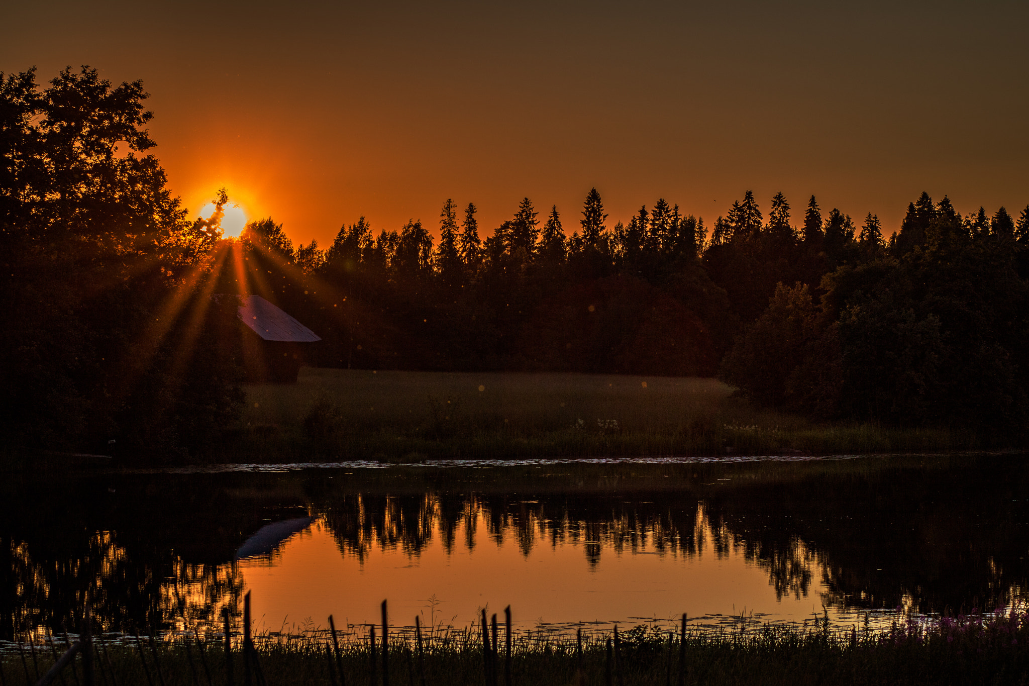 Canon EOS 750D (EOS Rebel T6i / EOS Kiss X8i) + Canon EF 85mm F1.8 USM sample photo. Sunset photography