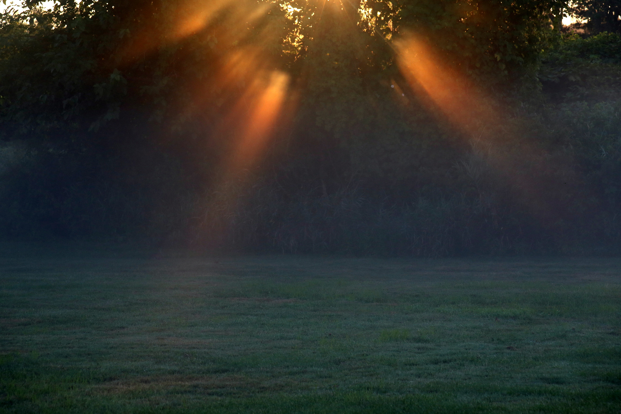 Canon EF 100-300mm F4.5-5.6 USM sample photo. Sun ray photography