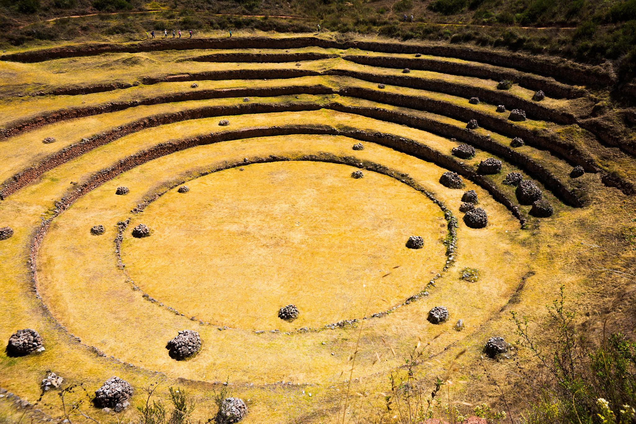 Sony Alpha a99 sample photo. Circles photography