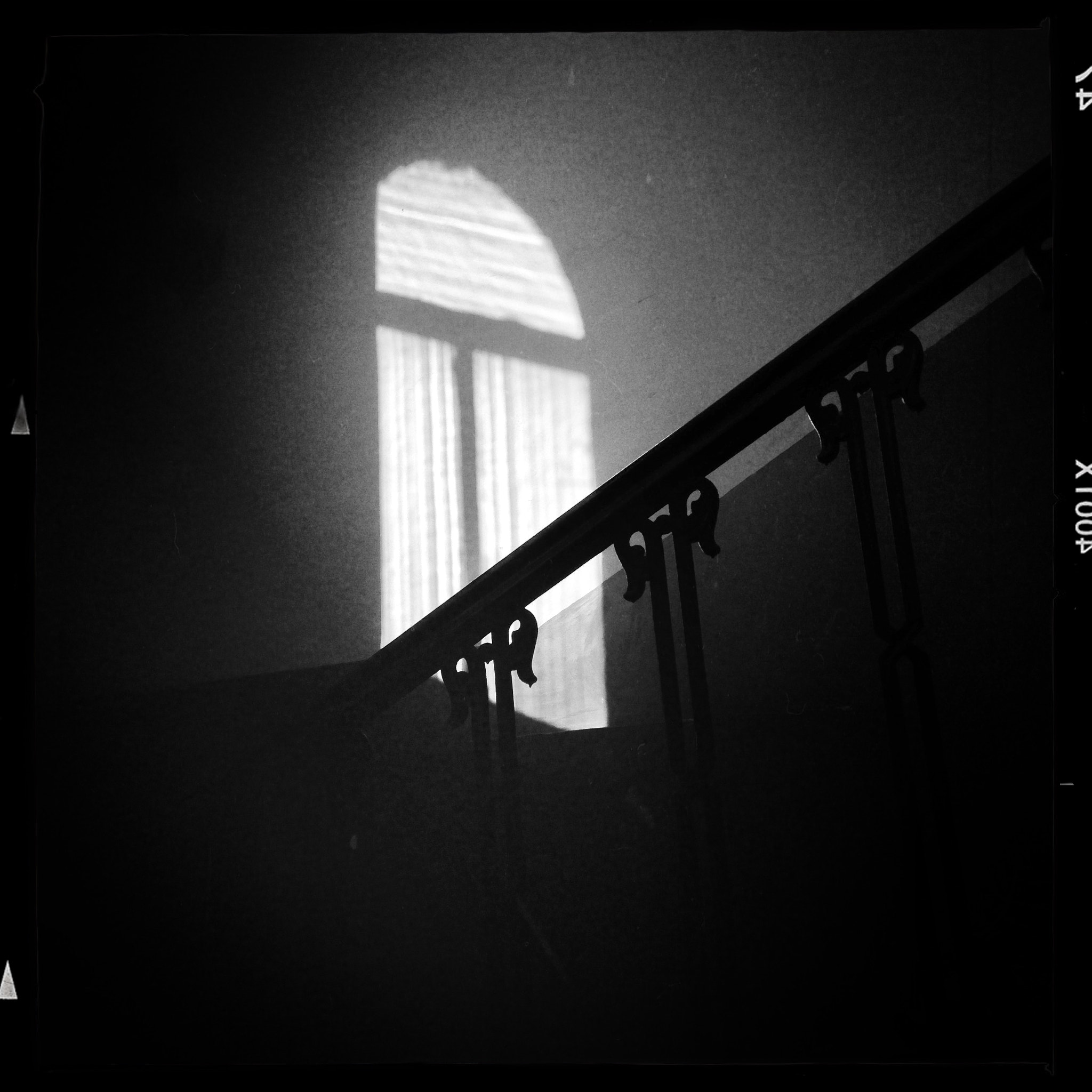 Hipstamatic 313 sample photo. No. 2 photography