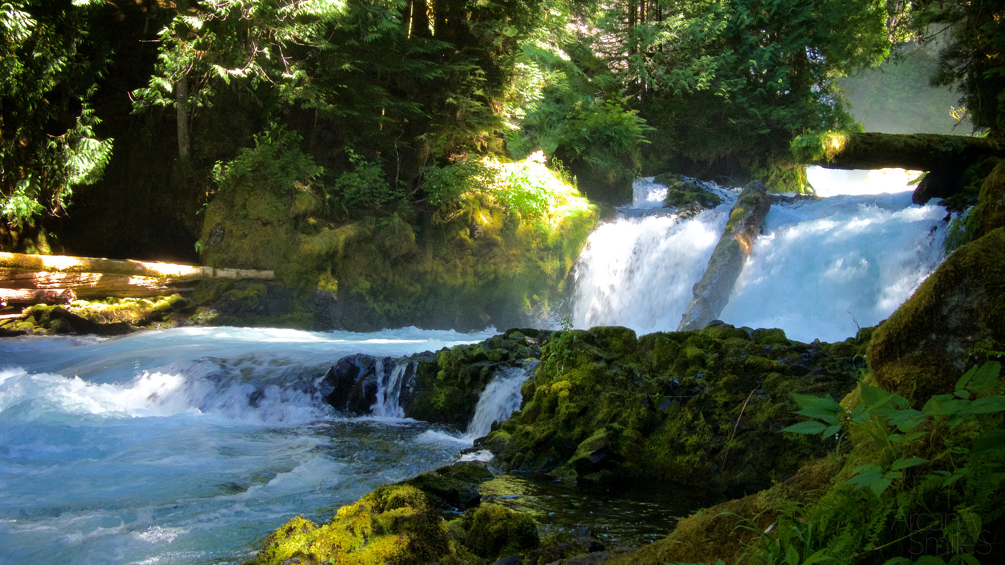 Olympus OM-D E-M5 + LUMIX G 20/F1.7 II sample photo. Mckenzie river, or photography