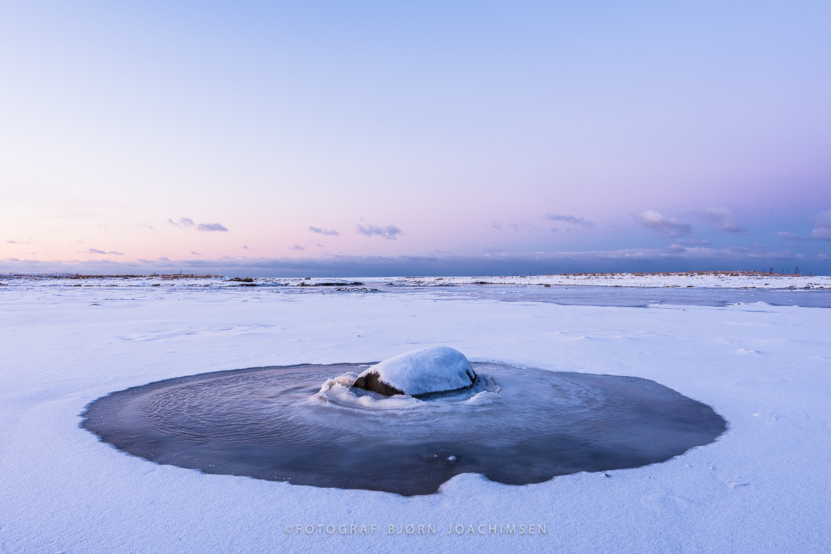 Nikon AF-S Nikkor 16-35mm F4G ED VR sample photo. Skogvoll i vesterålen photography